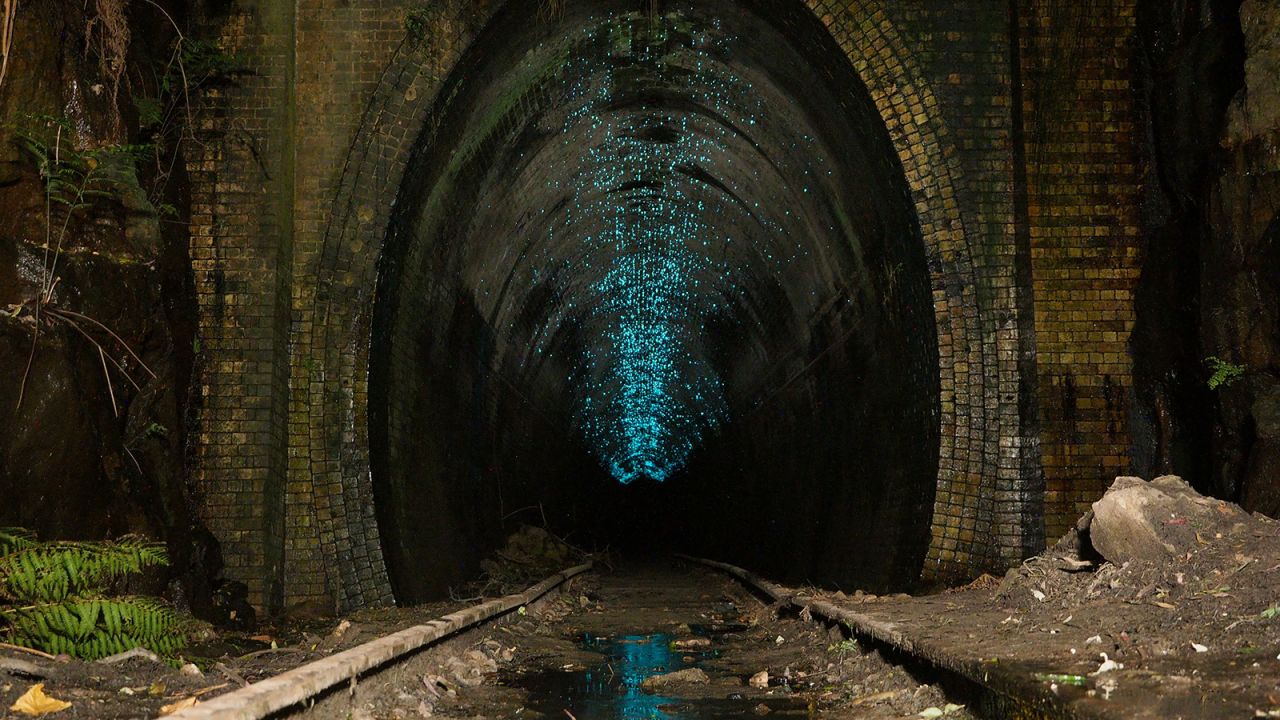 CNN: Địa đạo Củ Chi trong danh sách 21 đường hầm kỳ thú nhất thế giới - Ảnh 5.