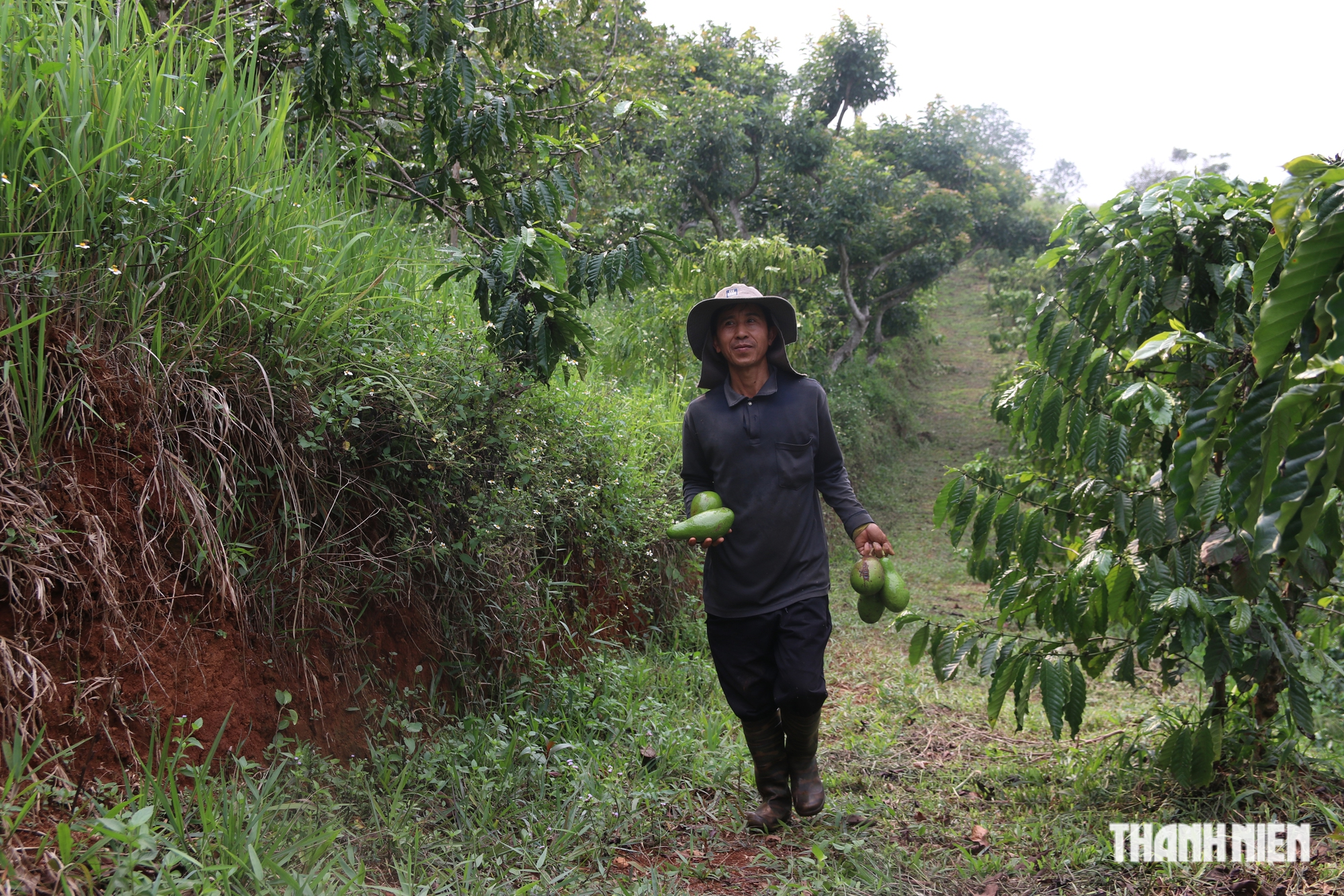 Ông nông dân ‘trồng cây xanh để đời con cháu được hít thở không khí trong lành’  - Ảnh 4.