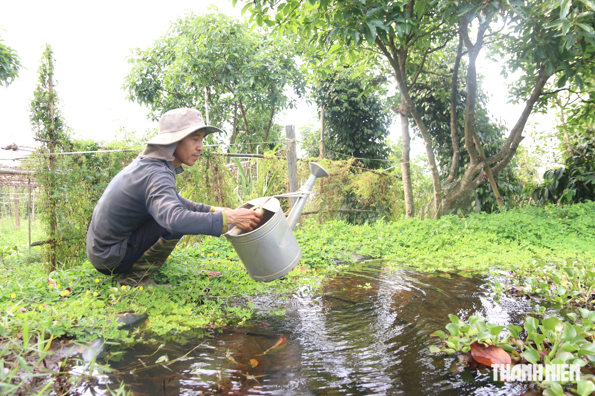 Ông nông dân ‘trồng cây xanh để đời con cháu được hít thở không khí trong lành’  - Ảnh 6.