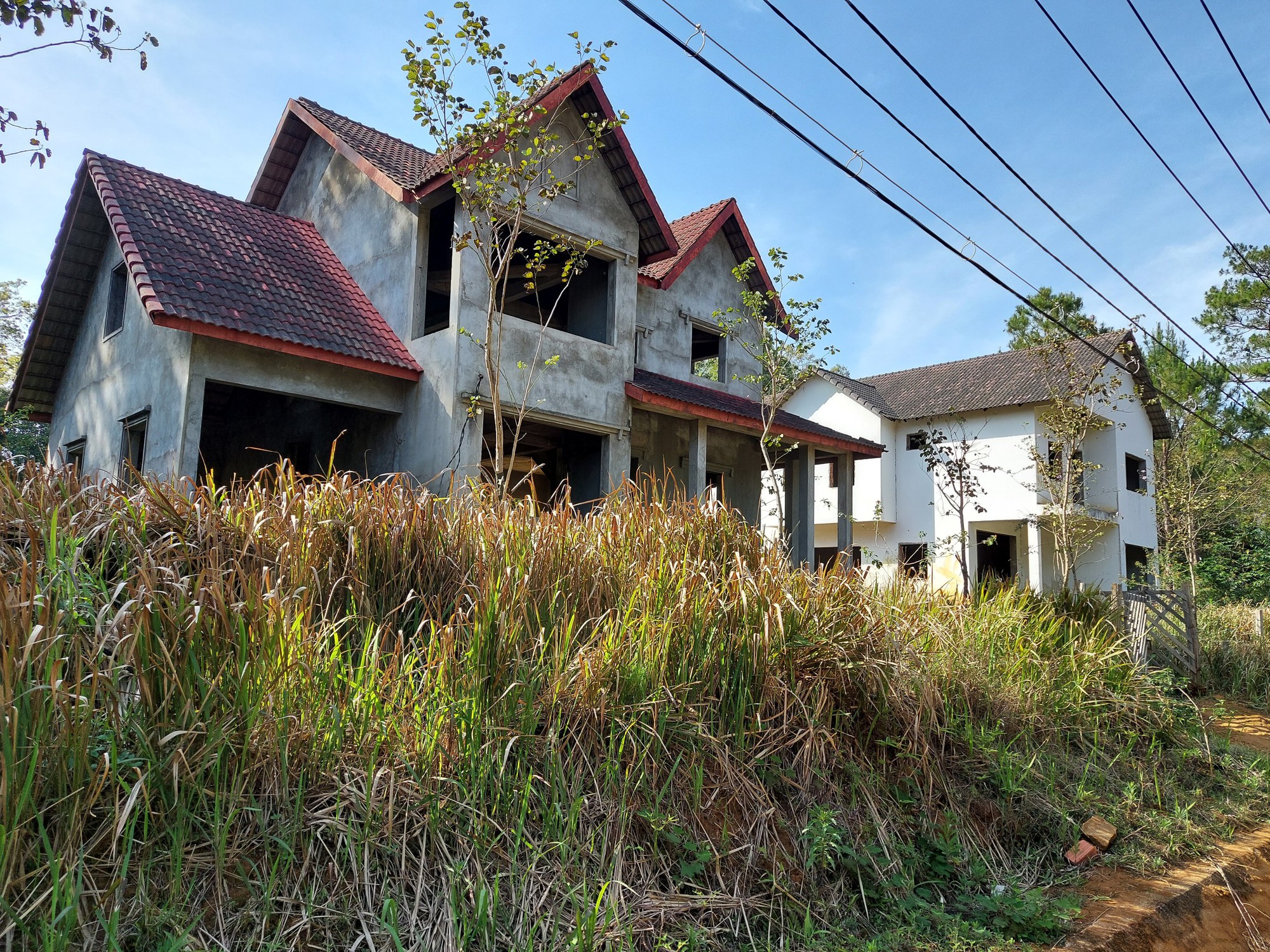 Kon Tum: Huyện giao hàng chục lô đất không thông qua đấu giá - Ảnh 1.