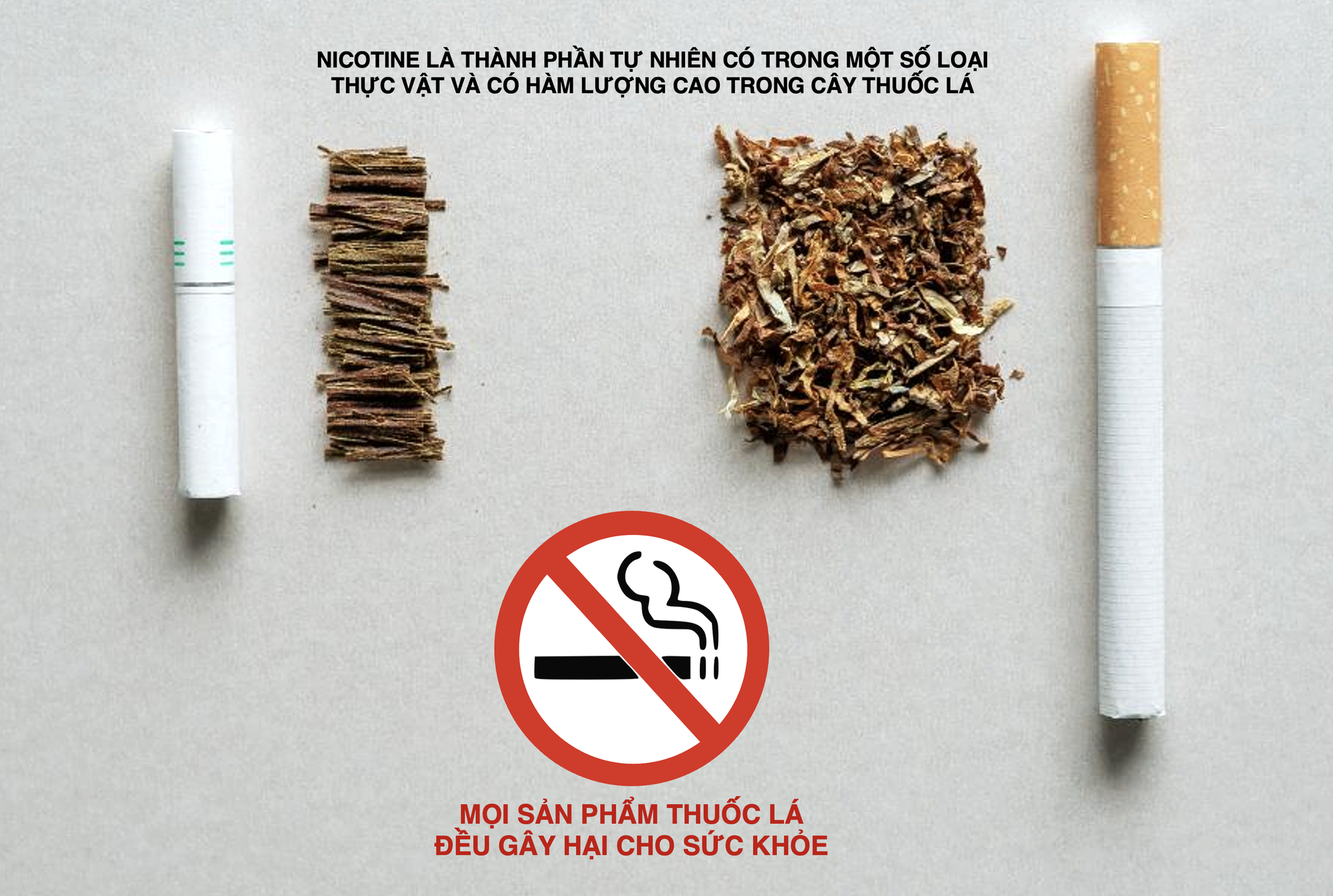 Nicotine không phải chất gây ung thư trong thuốc lá