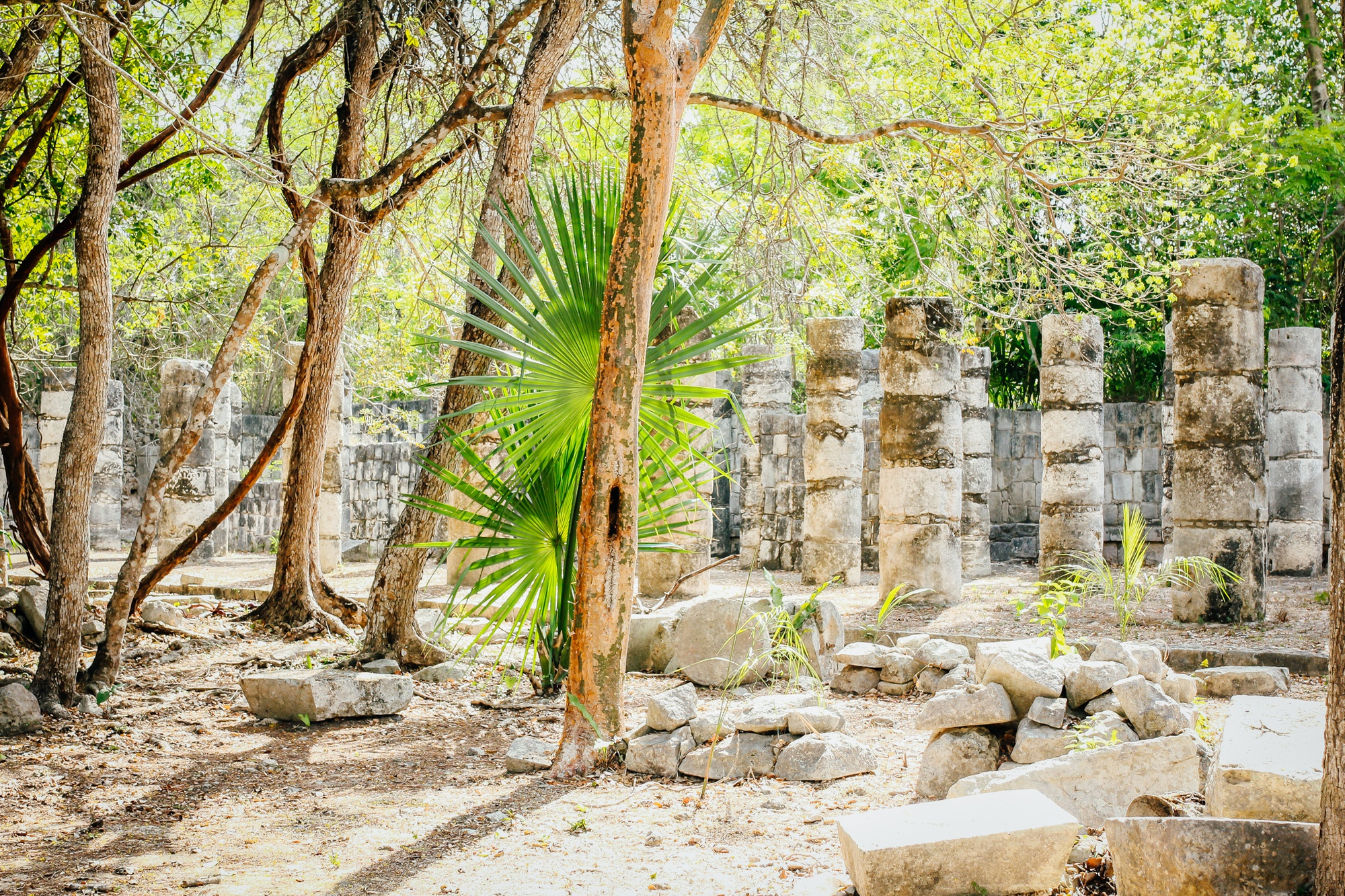 Đi tìm dấu tích của nền văn minh Maya giữa rừng già  - Ảnh 11.