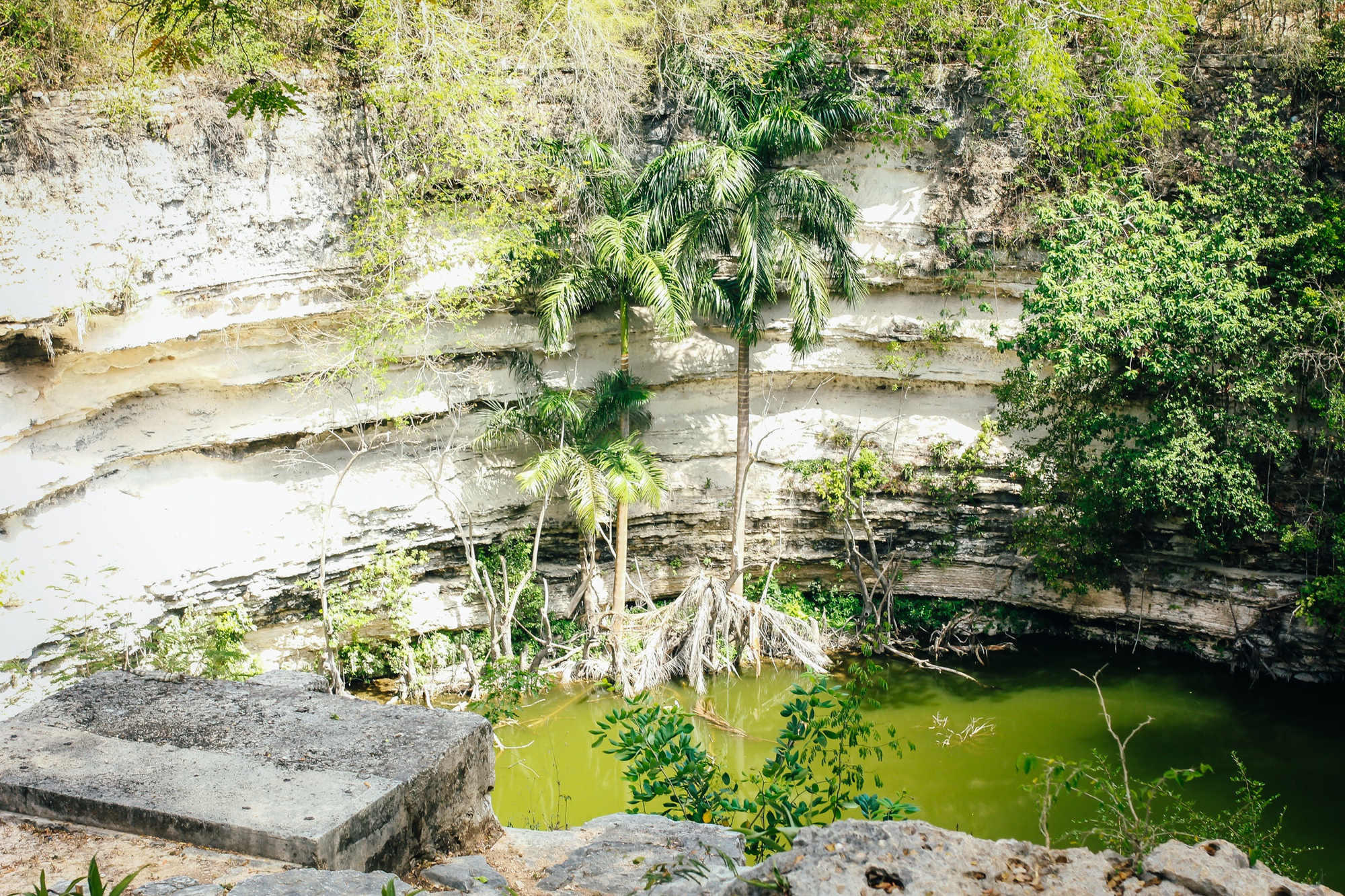 Đi tìm dấu tích của nền văn minh Maya giữa rừng già  - Ảnh 12.