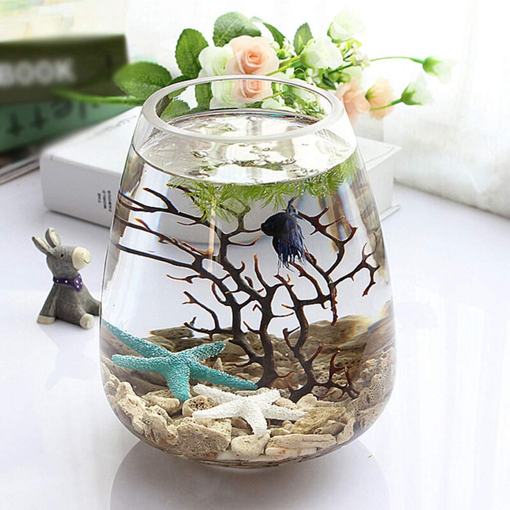 Bể cá mini từ ly, bát thủy tinh - hồ nước nhỏ trong không gian sống