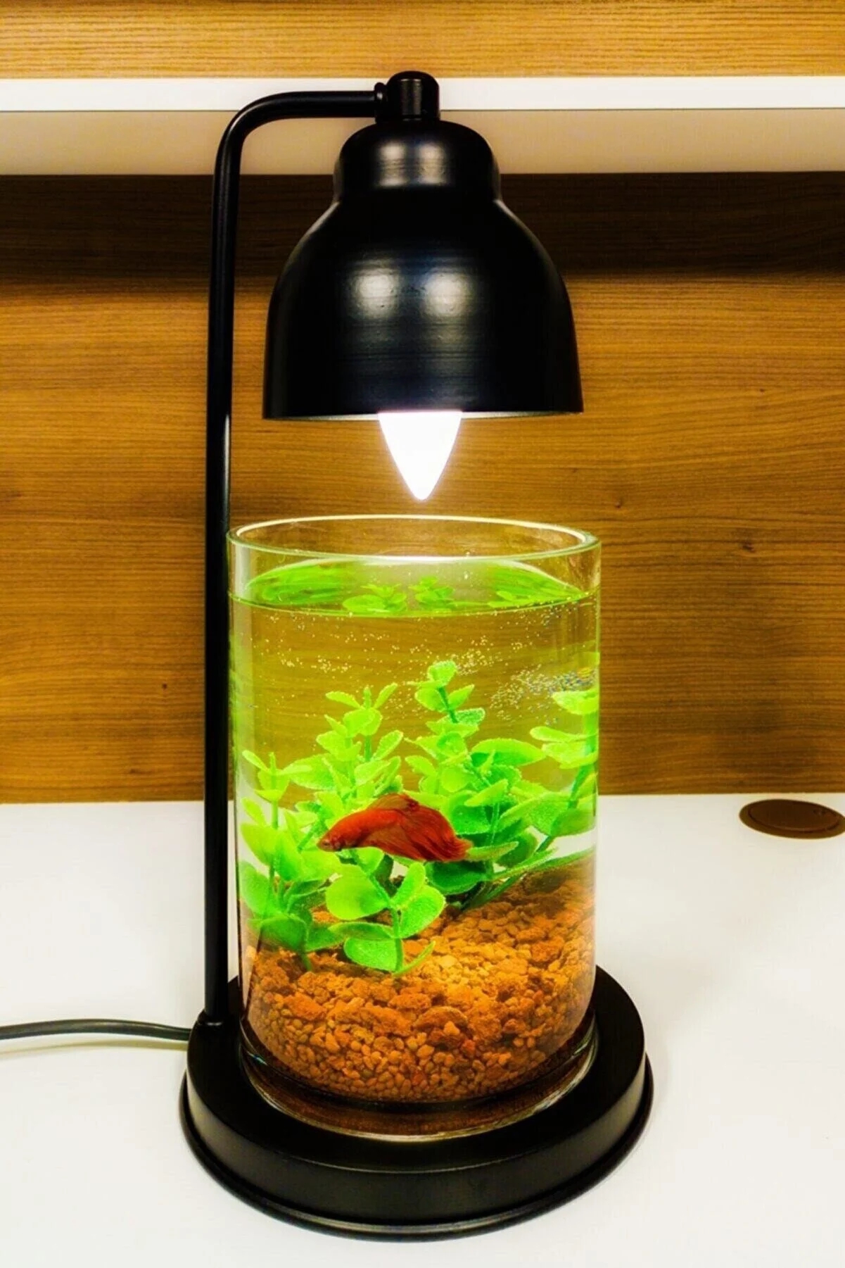 Hình nền Nền Hành Lý 3d Nằm Trên đồ Chơi Bơm Hơi Nổi Trong Bể Bơi Nền Du Lịch 3d Vali Du Lịch Va Li Background Vector để tải xuống miễn phí #45 Hình nền Nền Hành Lý 3d Nằm Trên đồ Chơi Bơm Hơi Nổi Trong Bể Bơi Nền Du Lịch 3d Vali Du Lịch Va Li Background Vector để tải xuống miễn phí