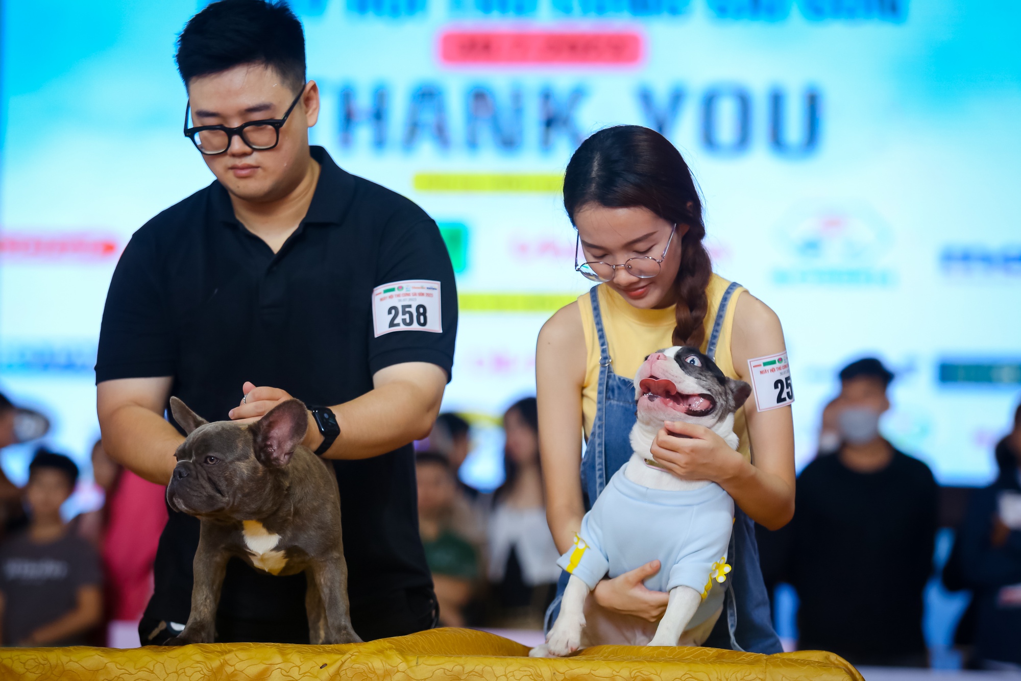 Ngắm loạt thú cưng được chủ chi hàng chục triệu về nuôi, đưa đi spa mỗi tuần - Ảnh 8.