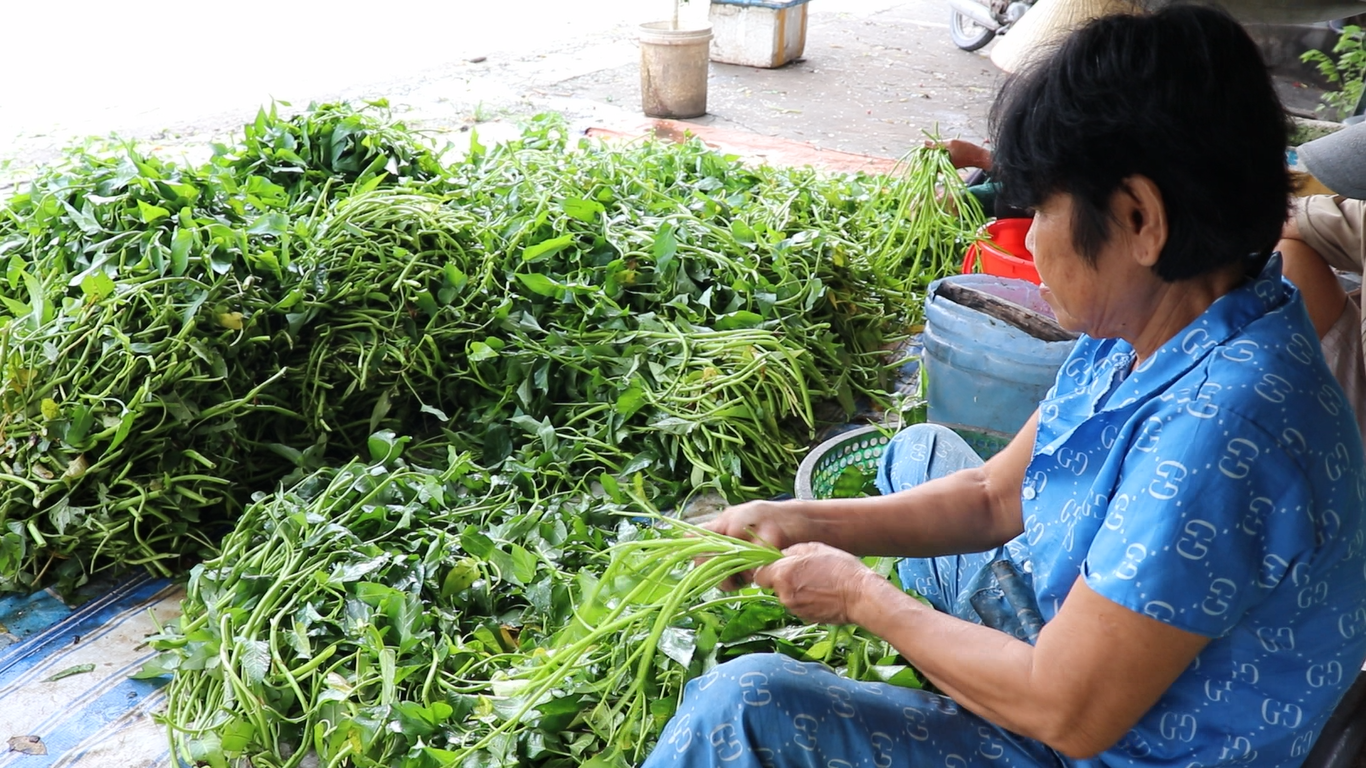 Xóm nghèo nhặt rau muống thuê: vừa chăm con vừa nhặt rau, ngủ gục như cơm bữa  - Ảnh 5.