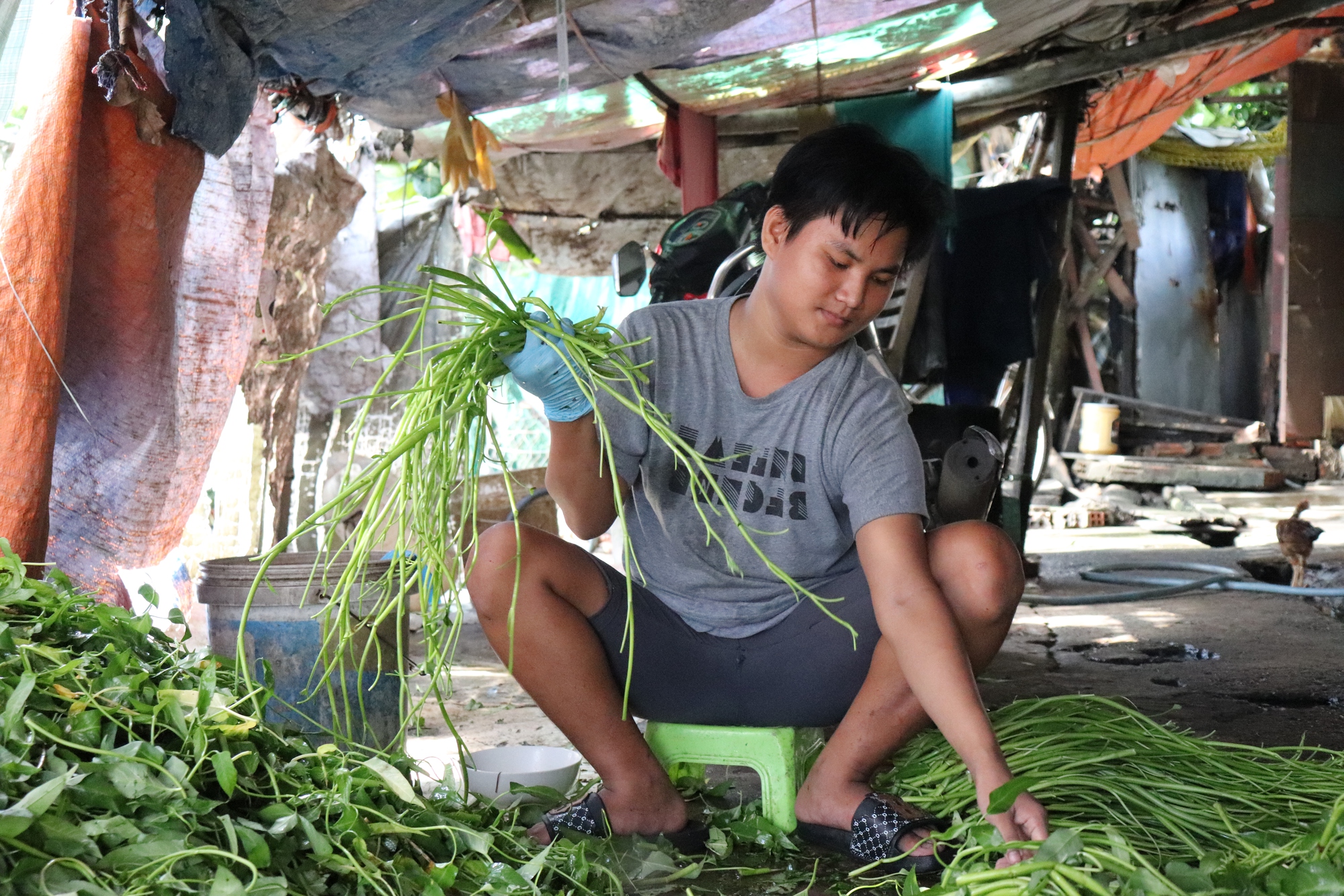 Xóm nghèo nhặt rau muống thuê: vừa chăm con vừa nhặt rau, ngủ gục như cơm bữa  - Ảnh 3.