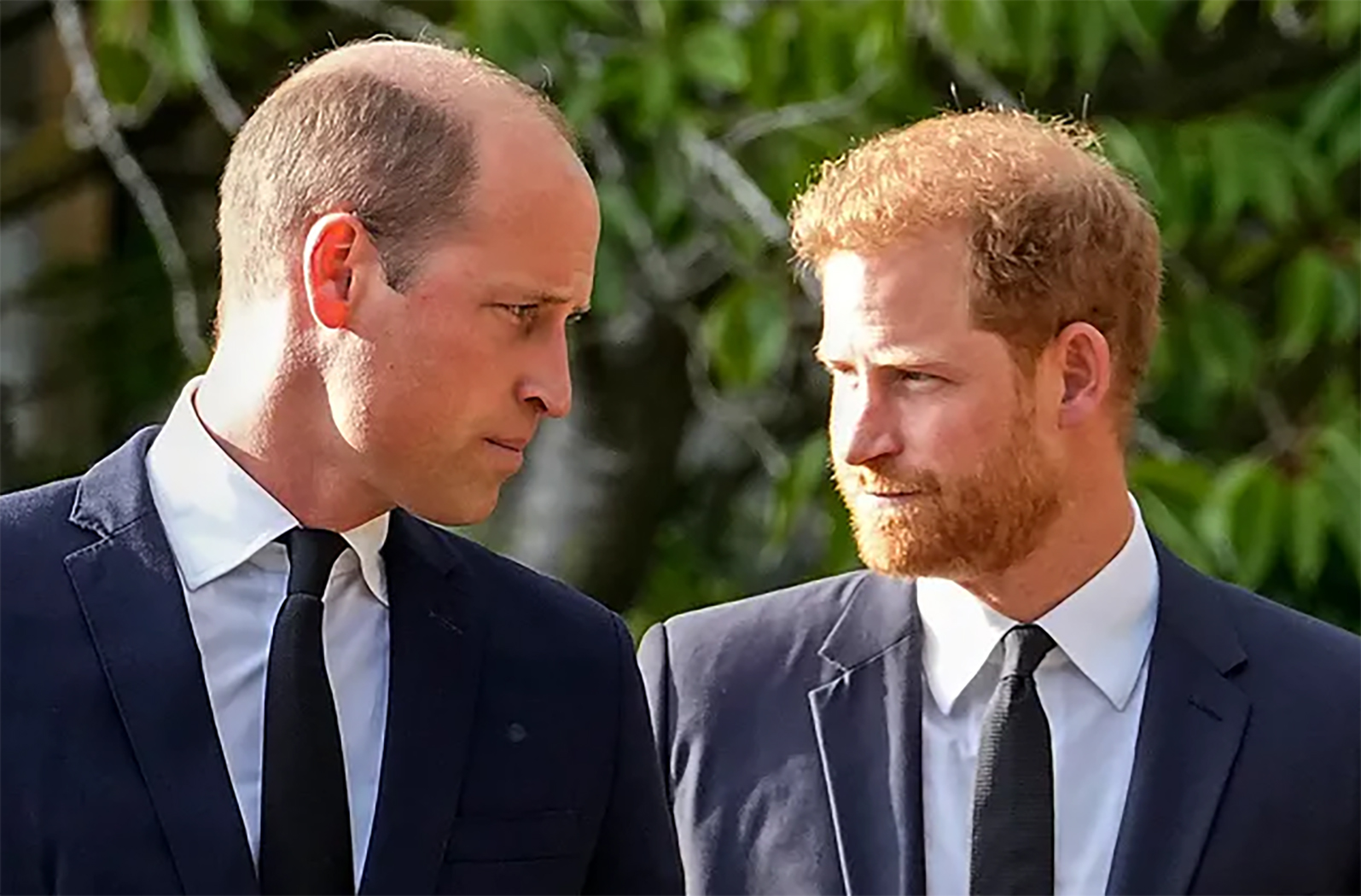 Hoàng tử Harry và Hoàng tử William, ai giàu hơn?