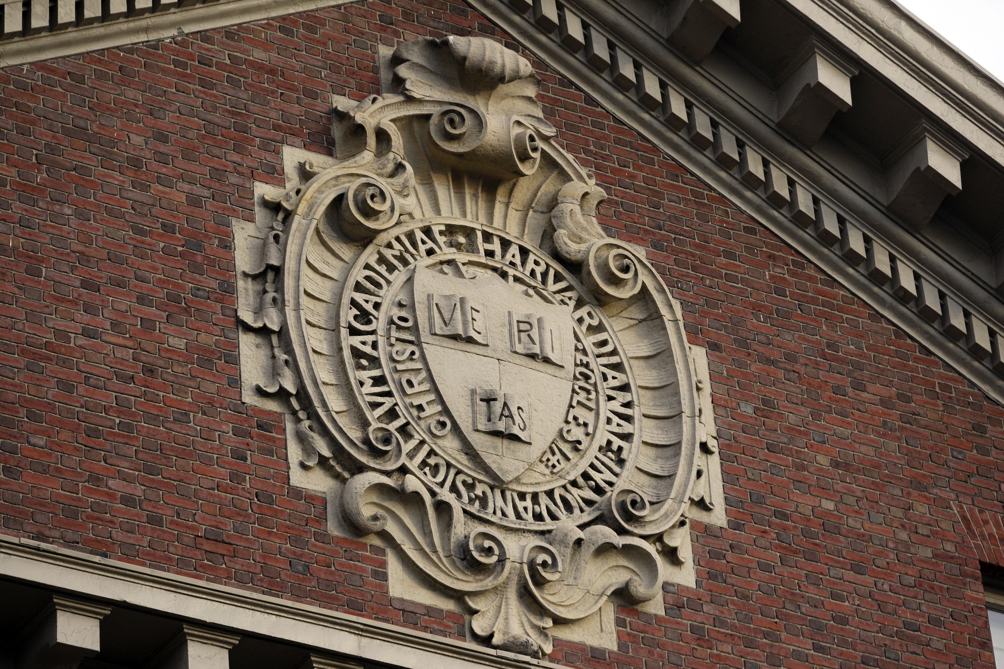 Chính sách tuyển sinh ‘kế thừa’ của Harvard bị kiện vì ưu tiên sinh viên da trắng - Ảnh 1.
