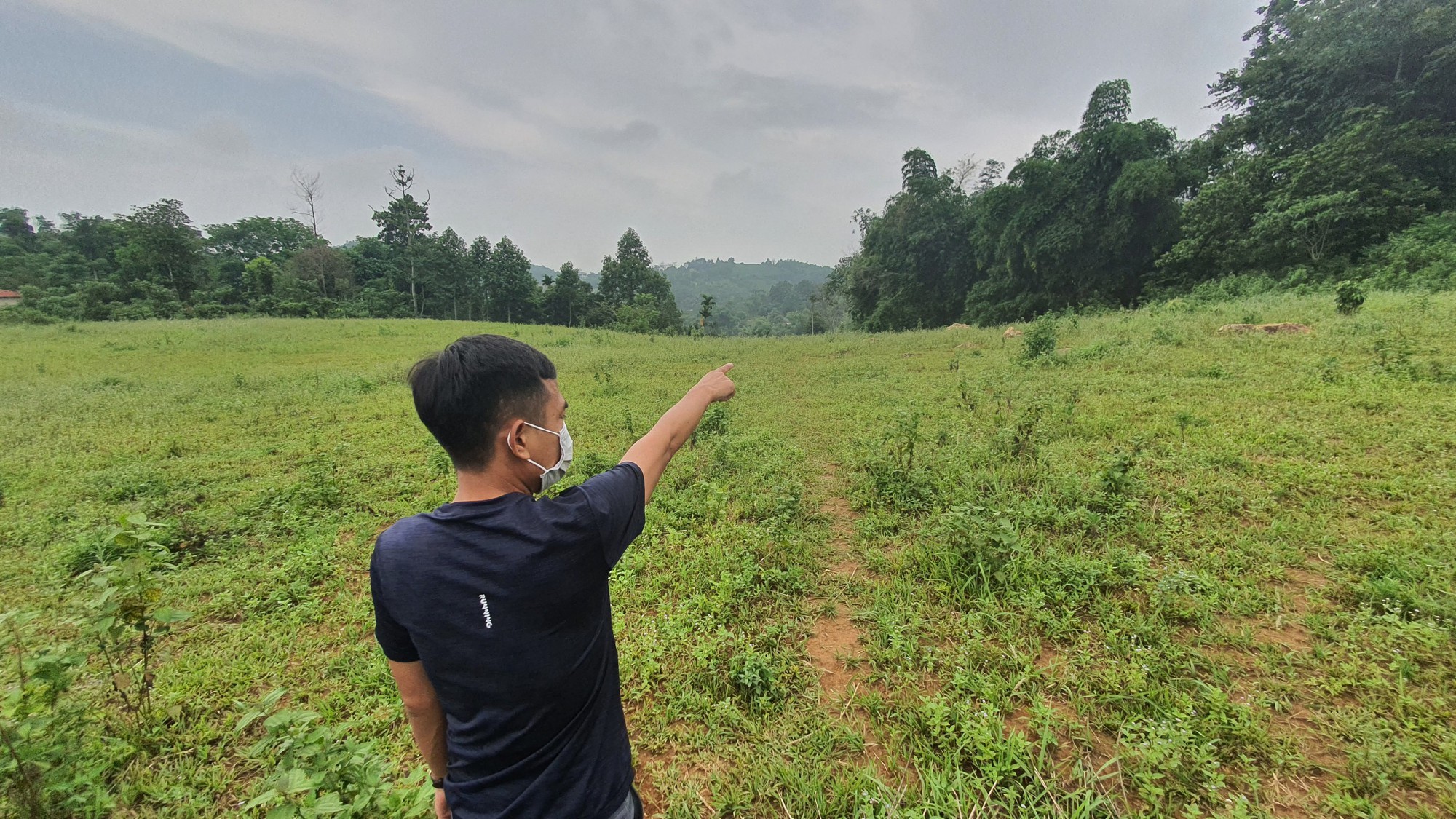 Ồ ạt 'bỏ phố về rừng' để giờ 'bỏ của chạy lấy người' - Ảnh 3. Ồ ạt 'bỏ phố về rừng' để giờ 'bỏ của chạy lấy người' - Ảnh 3.