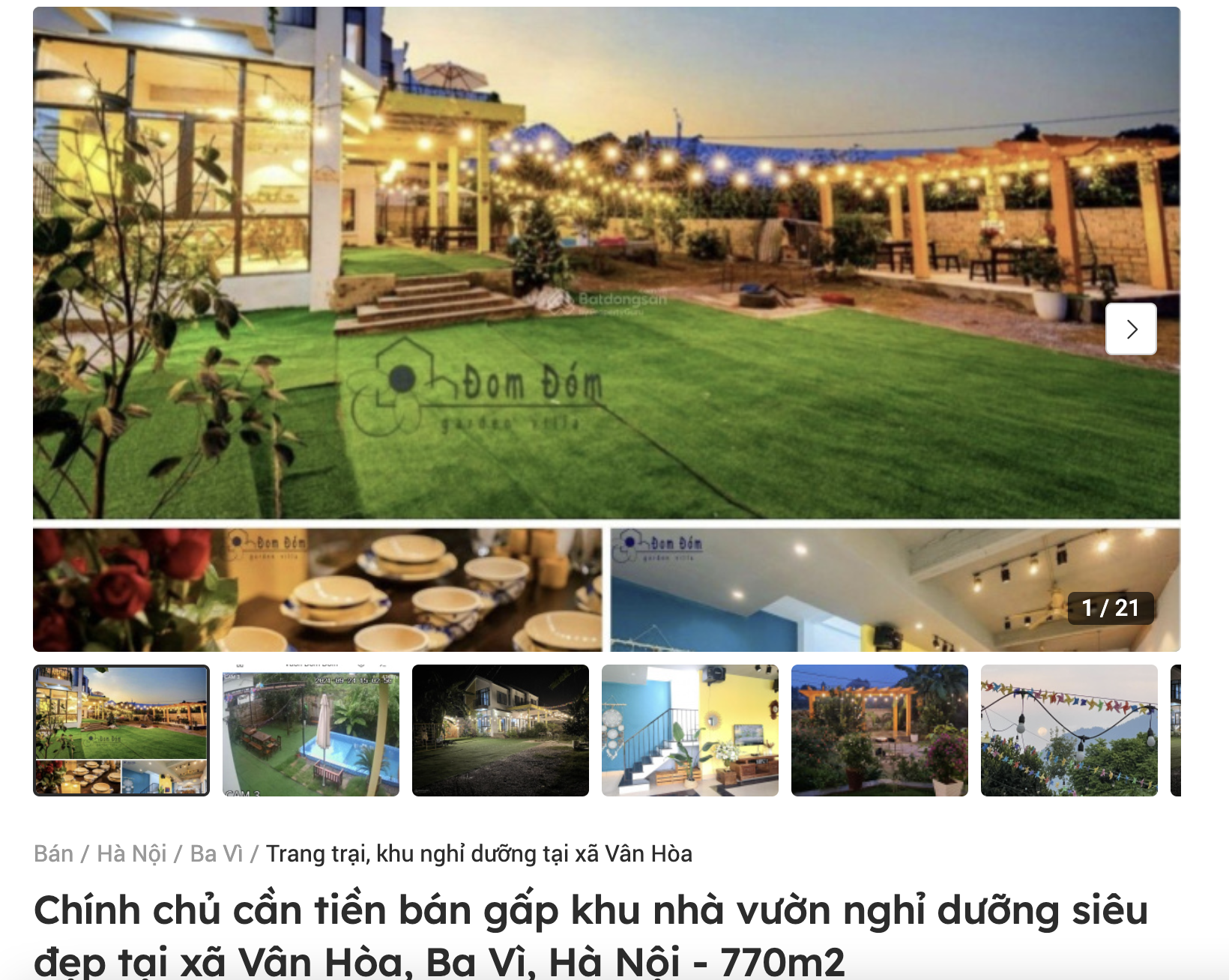 Ồ ạt 'bỏ phố về rừng' để giờ 'bỏ của chạy lấy người' - Ảnh 1. Ồ ạt 'bỏ phố về rừng' để giờ 'bỏ của chạy lấy người' - Ảnh 1.