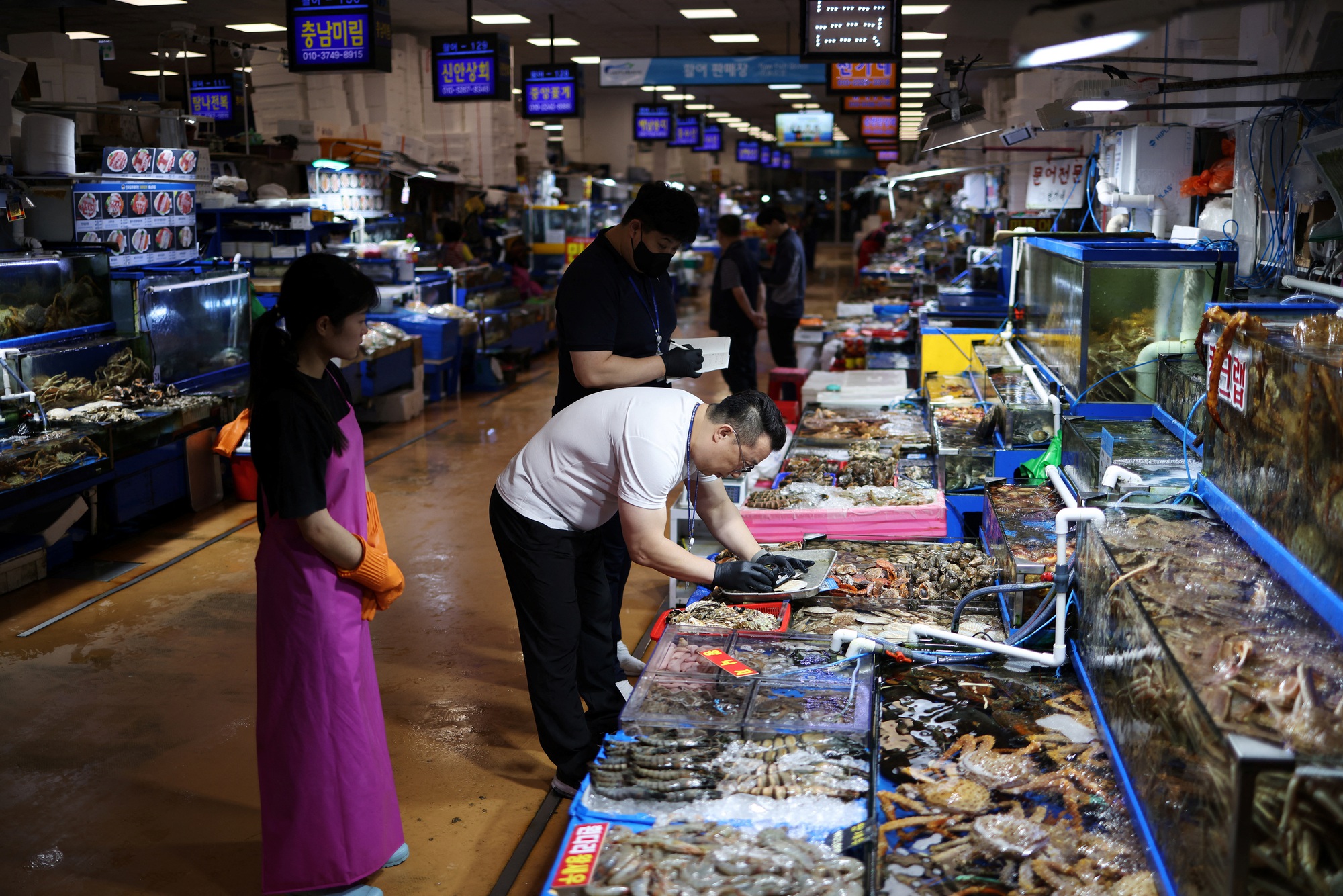 Chợ cá Hàn Quốc quan ngại nước nhiễm phóng xạ từ Nhật - Ảnh 1.