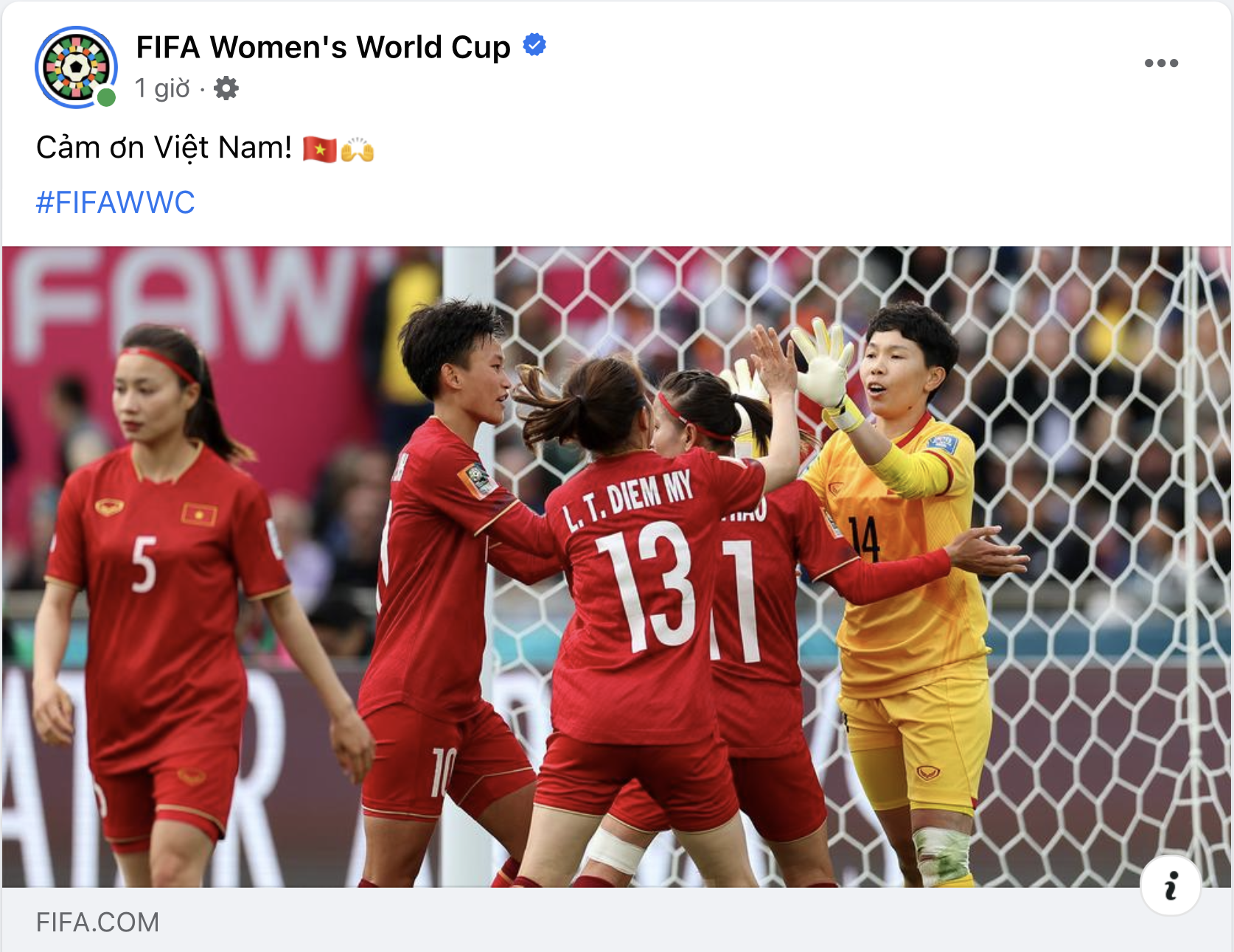 FIFA: Cảm ơn đội tuyển nữ Việt Nam - Ảnh 1.