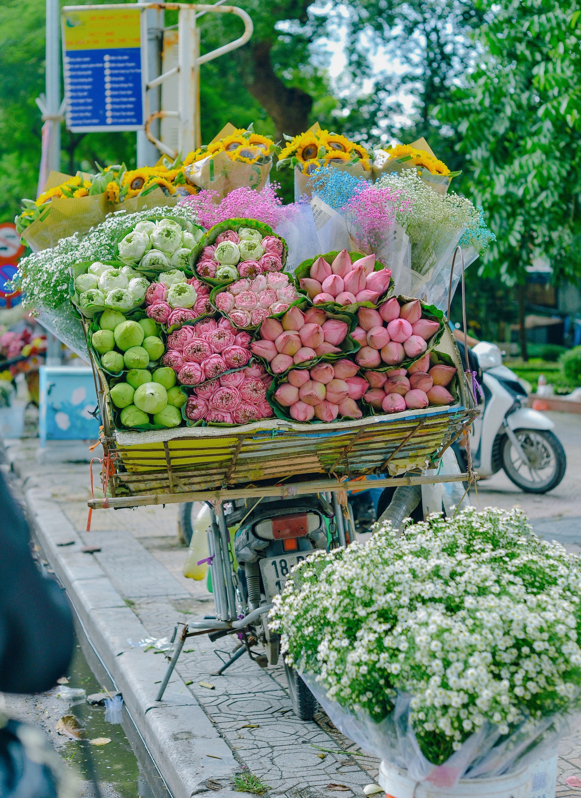 Hà Nội đẹp ngỡ ngàng trên những xe hàng hoa dưới phố - Ảnh 4.