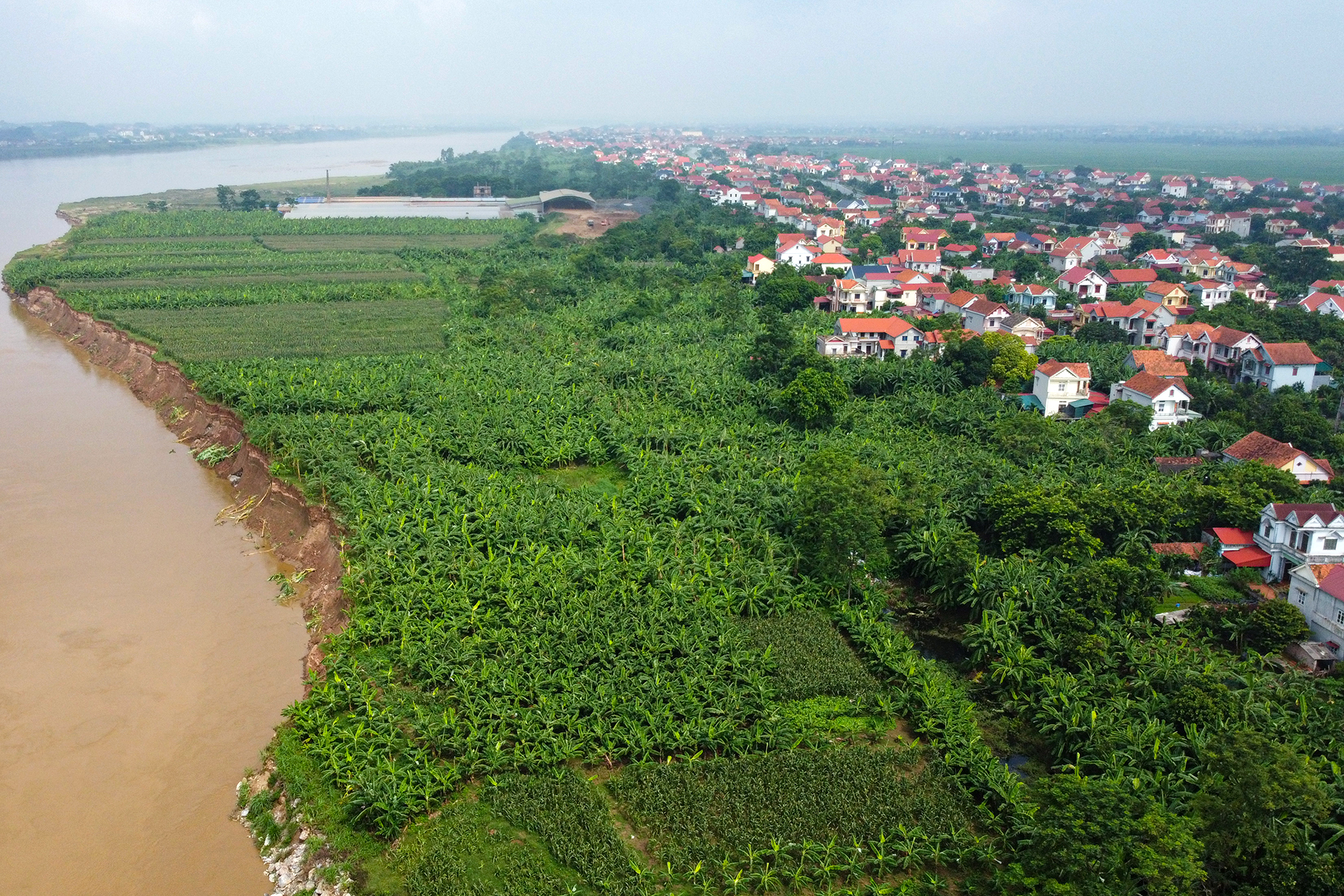 Cận cảnh 700m bờ sông Thao sạt lở, đe dọa 1.000 hộ dân trước mùa mưa lũ - Ảnh 1.