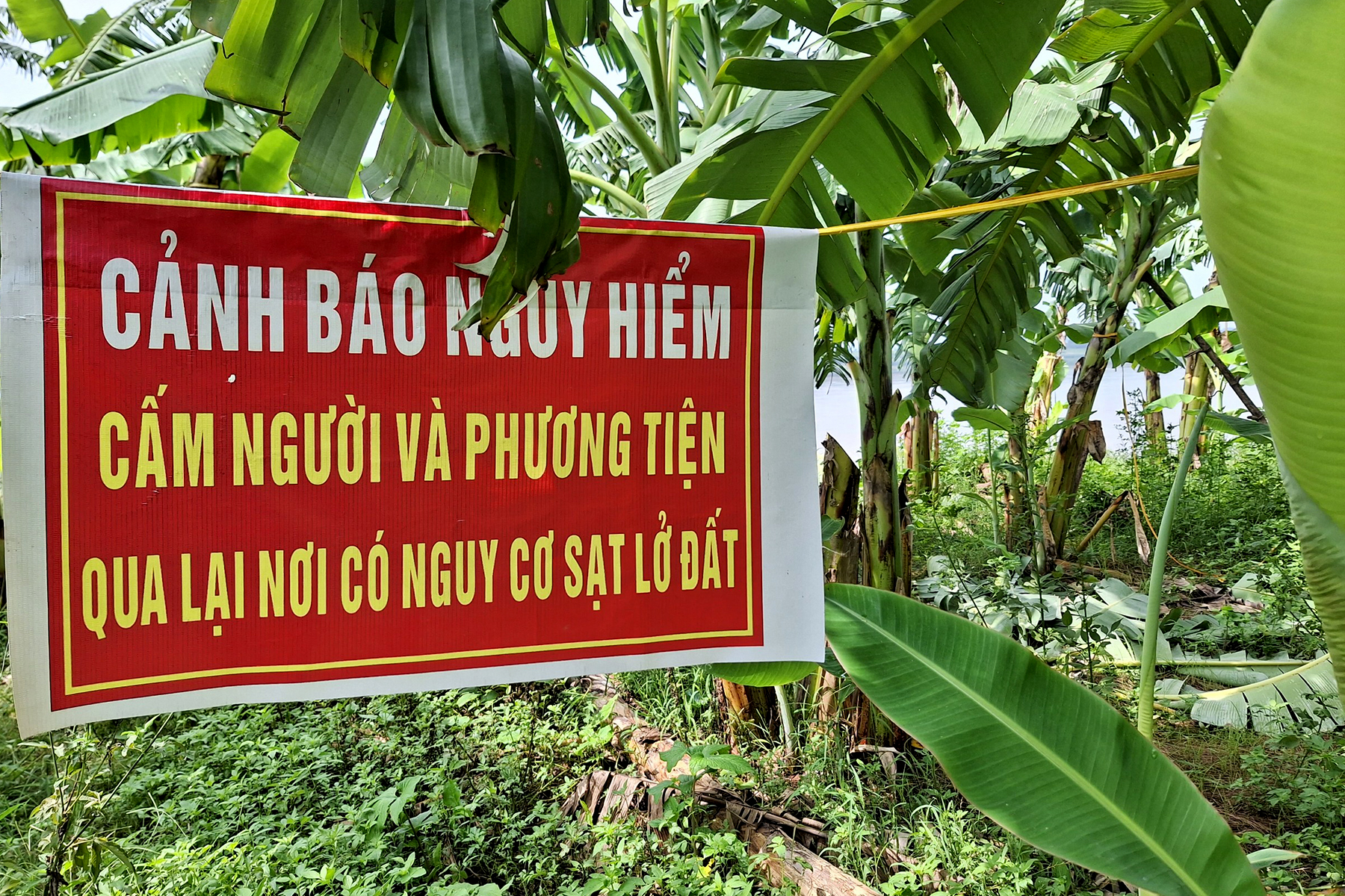 Cận cảnh 700m bờ sông Thao sạt lở, đe dọa 1.000 hộ dân trước mùa mưa lũ - Ảnh 4.