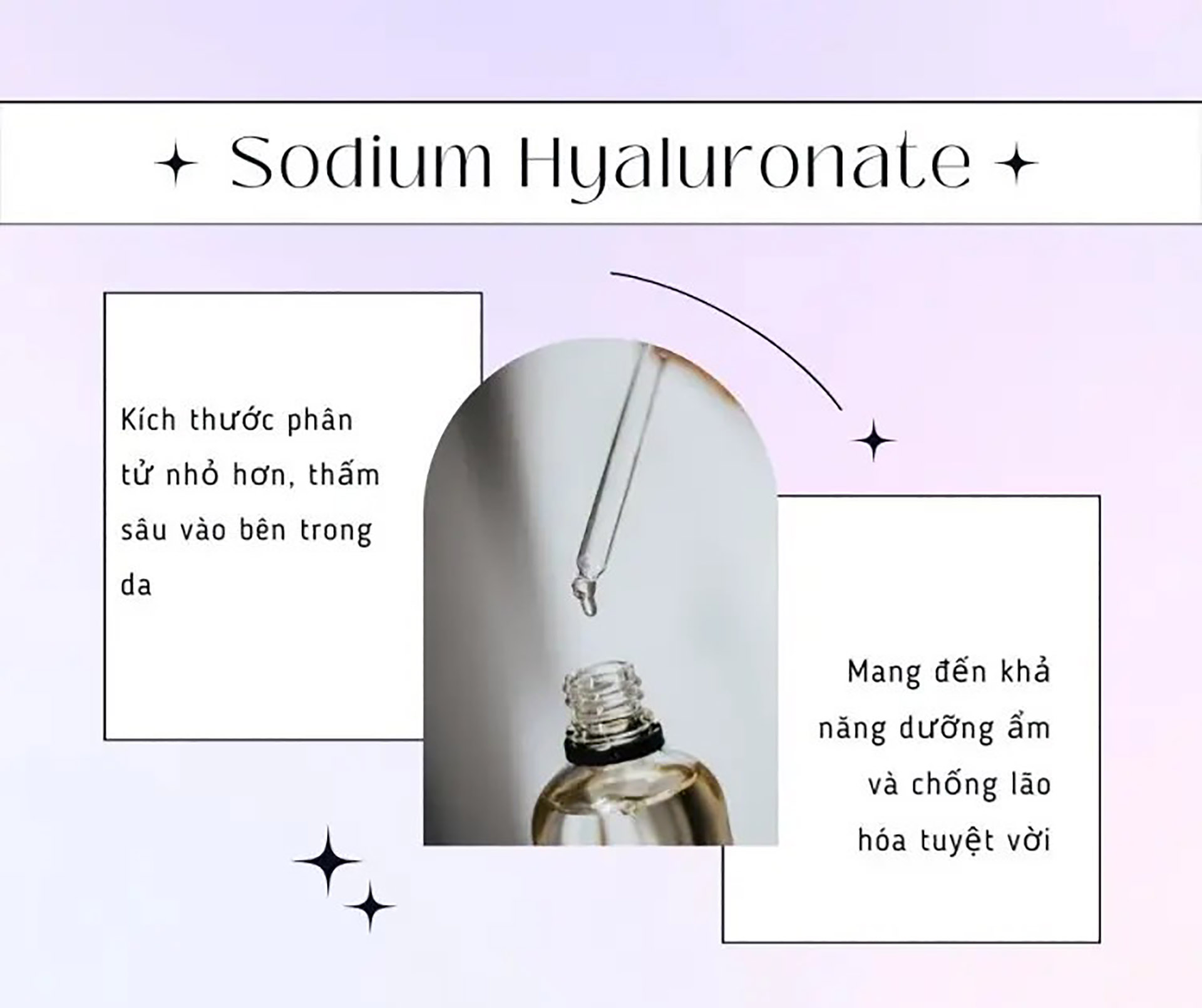 Natri Hyaluronate Là Gì? Công Dụng, Ứng Dụng Và Lợi Ích Cho Da