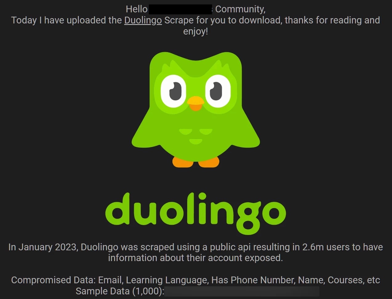 Dữ liệu 2,6 triệu người dùng Duolingo bị phát tán công khai - Ảnh 2.