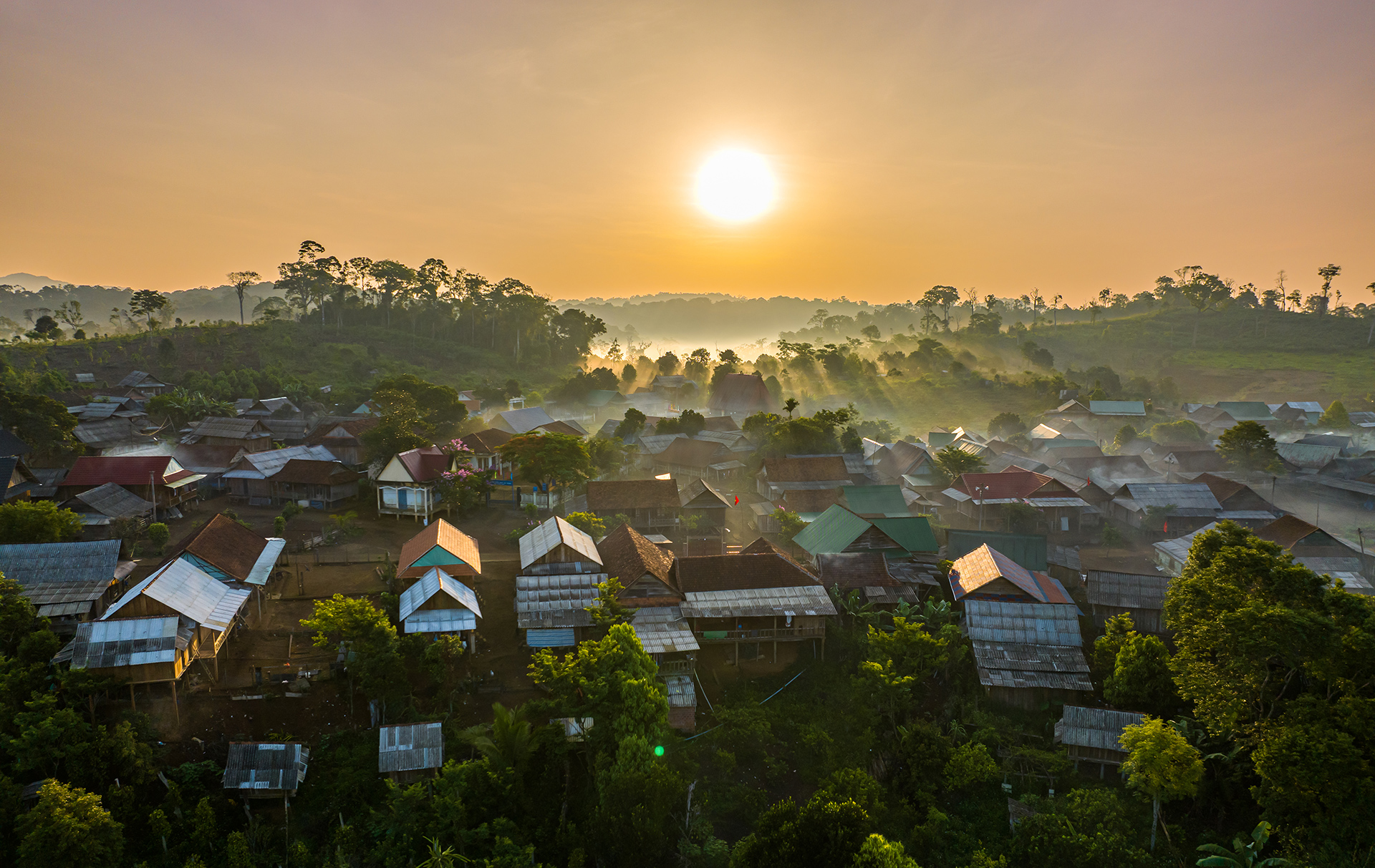 Trái tim không thiên di - Ảnh 3.