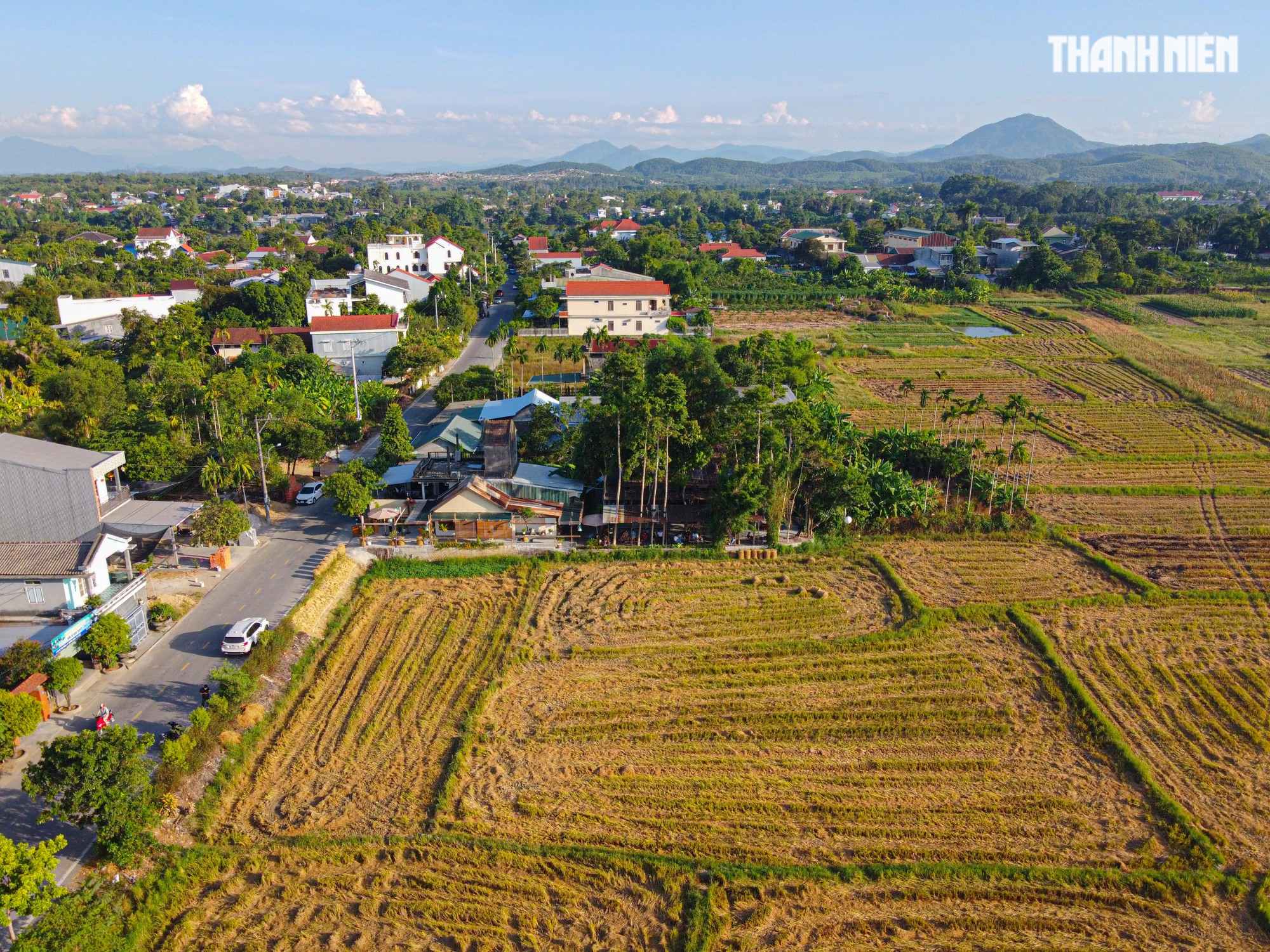 Quán cà phê 'hút' hàng trăm bạn trẻ nhờ... cánh đồng lúa- Ảnh 1.