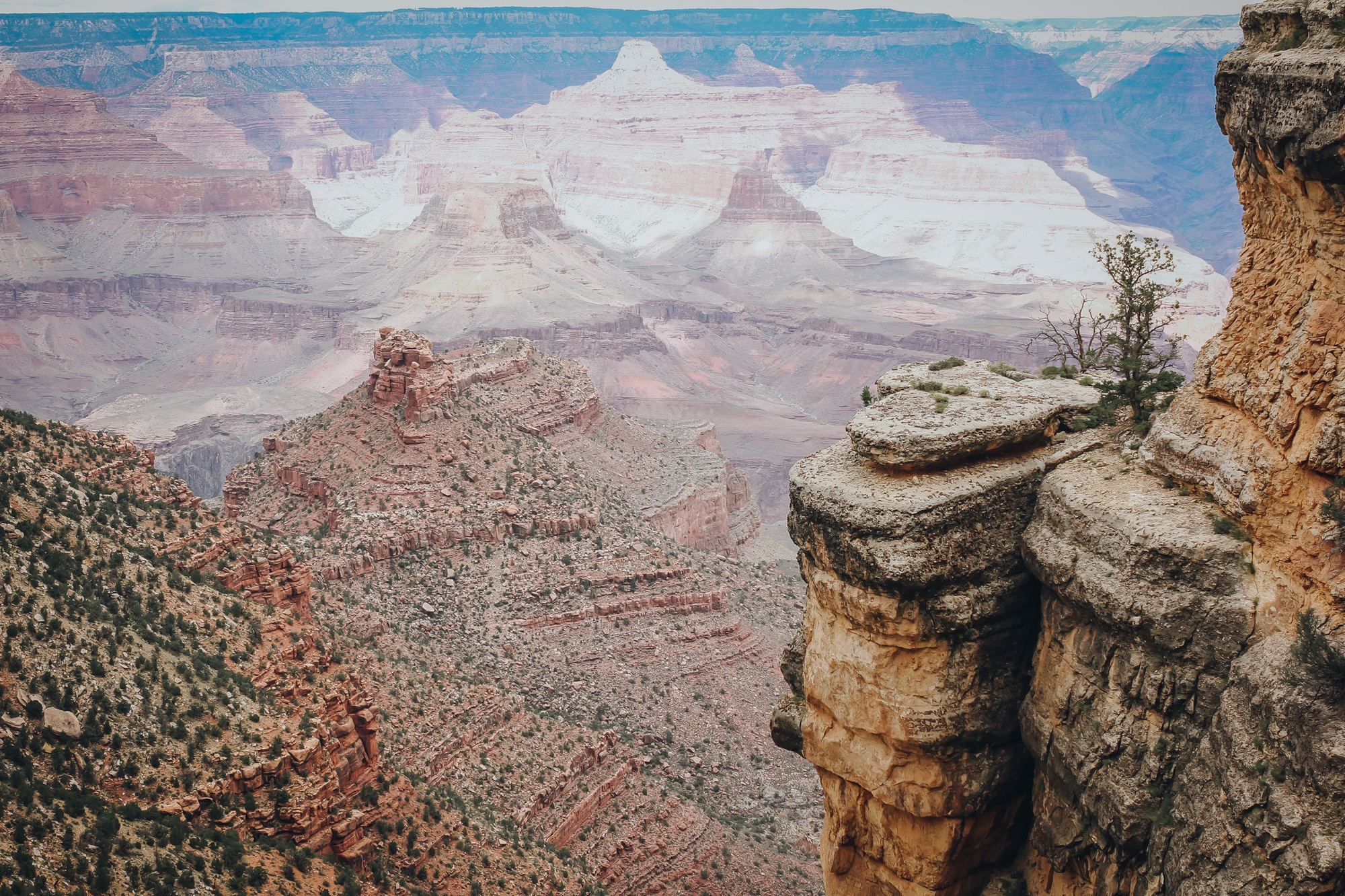 Kỳ quan Grand Canyon - Bản hòa ca của núi non và vực thẳm - Ảnh 6.