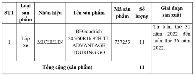Thu hồi lốp Michelin bị lỗi tại Việt Nam - Ảnh 2.