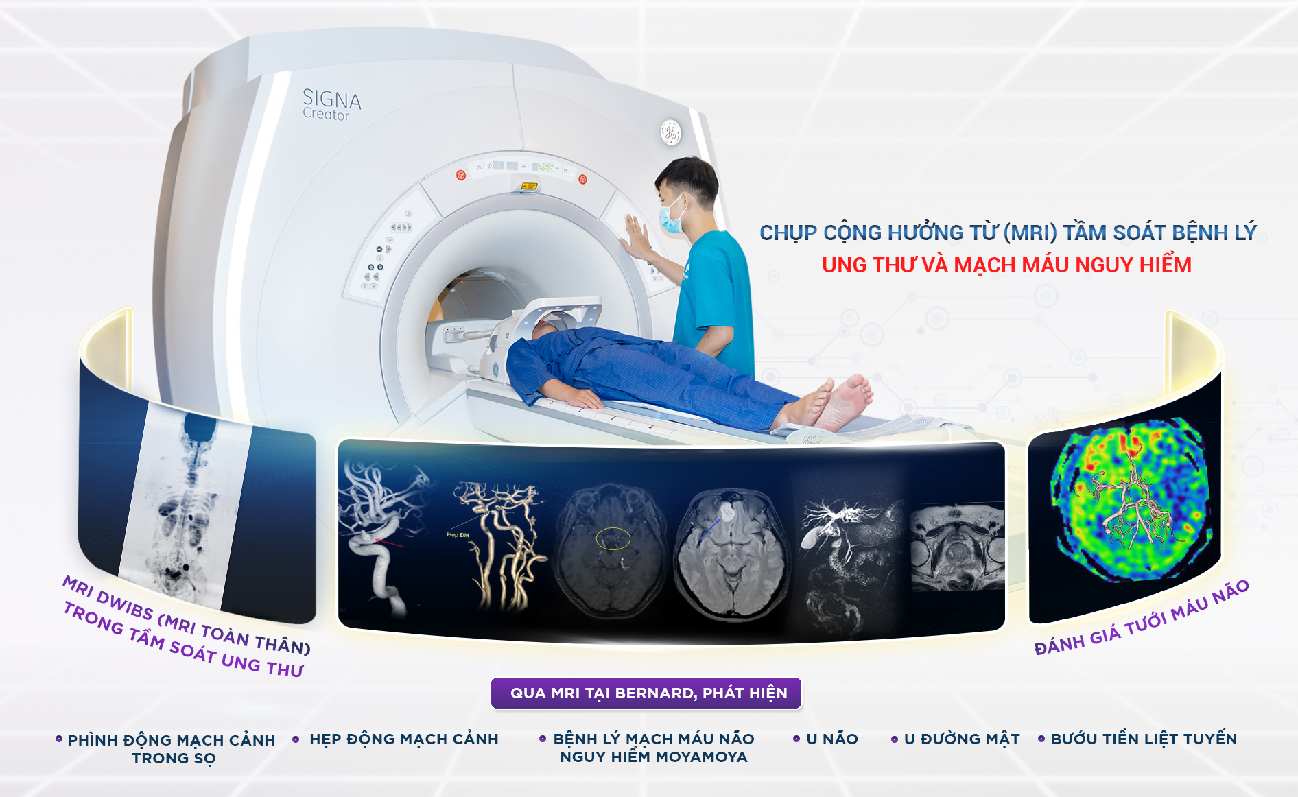 ĐẾN LƯỢT NGƯỜI KHỔNG LỒ CÔNG NGHỆ GE HEALTHCARE CHỌN ‘KHU VƯỜN Y HỌC’ BERNARD - Ảnh 1.