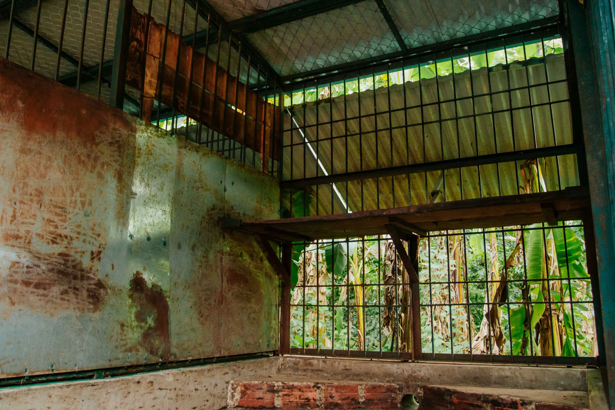 Nơi ở mới của 7 con hổ ở Phong Nha, được tắm 'hồ bơi', nằm sạp gỗ - Ảnh 9.