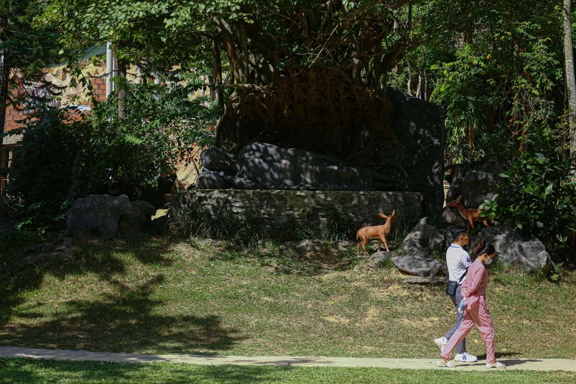 Tìm bình yên tại ngôi chùa giữa rừng thông xứ Huế - Ảnh 3.