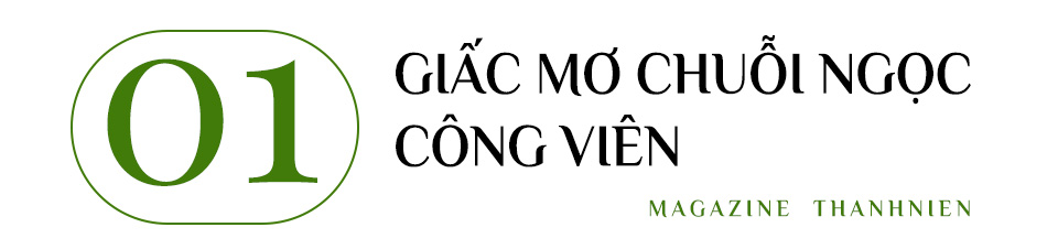 BÀI 1: TẤM DANH THIẾP BỊ MỜ VÀ CHUỖI NGỌC ĐỨT DÂY - Ảnh 1.