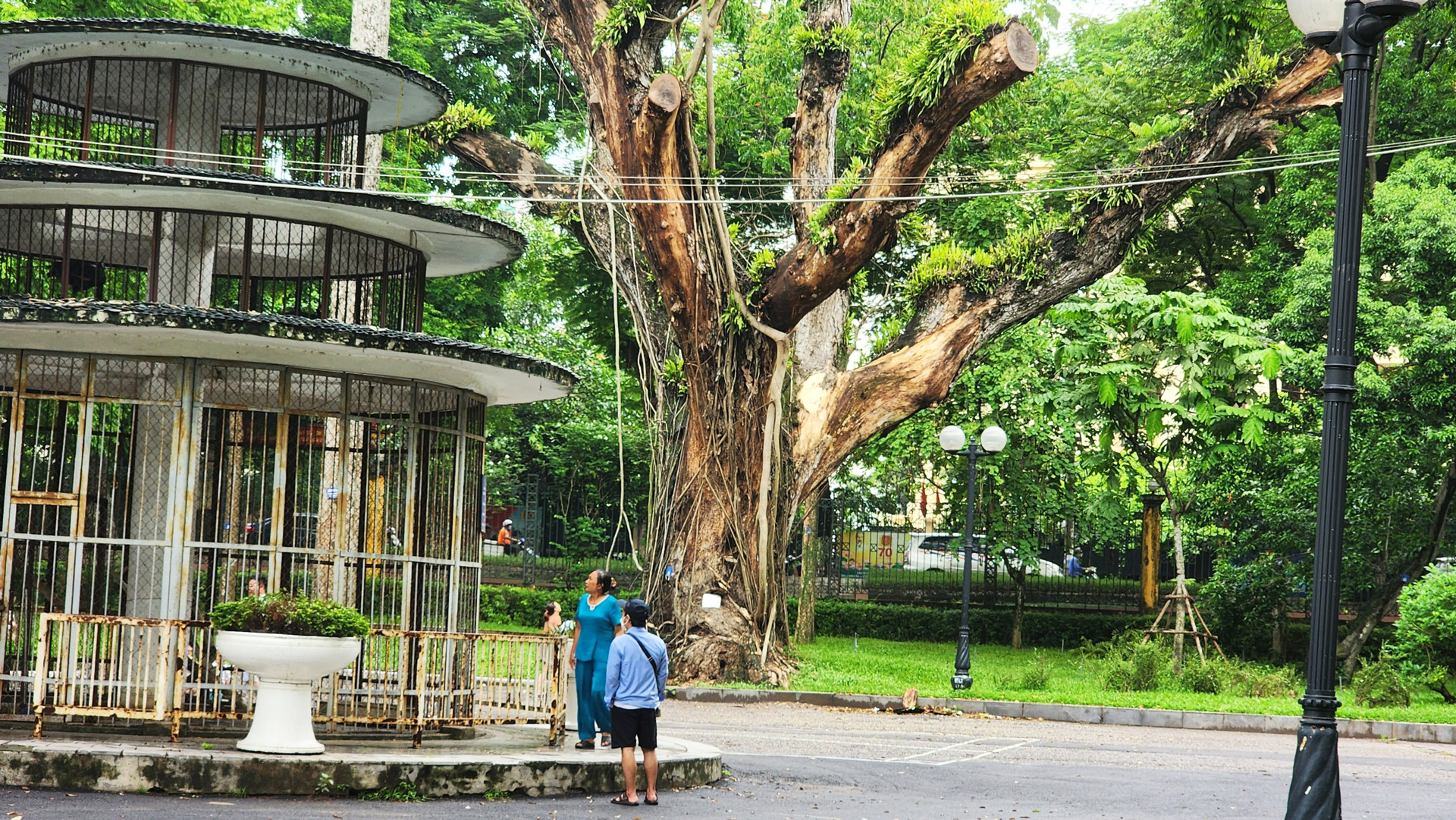 BÀI 3: MỞ RÀO CÔNG VIÊN, MỞ RÀO TƯ DUY - Ảnh 5.