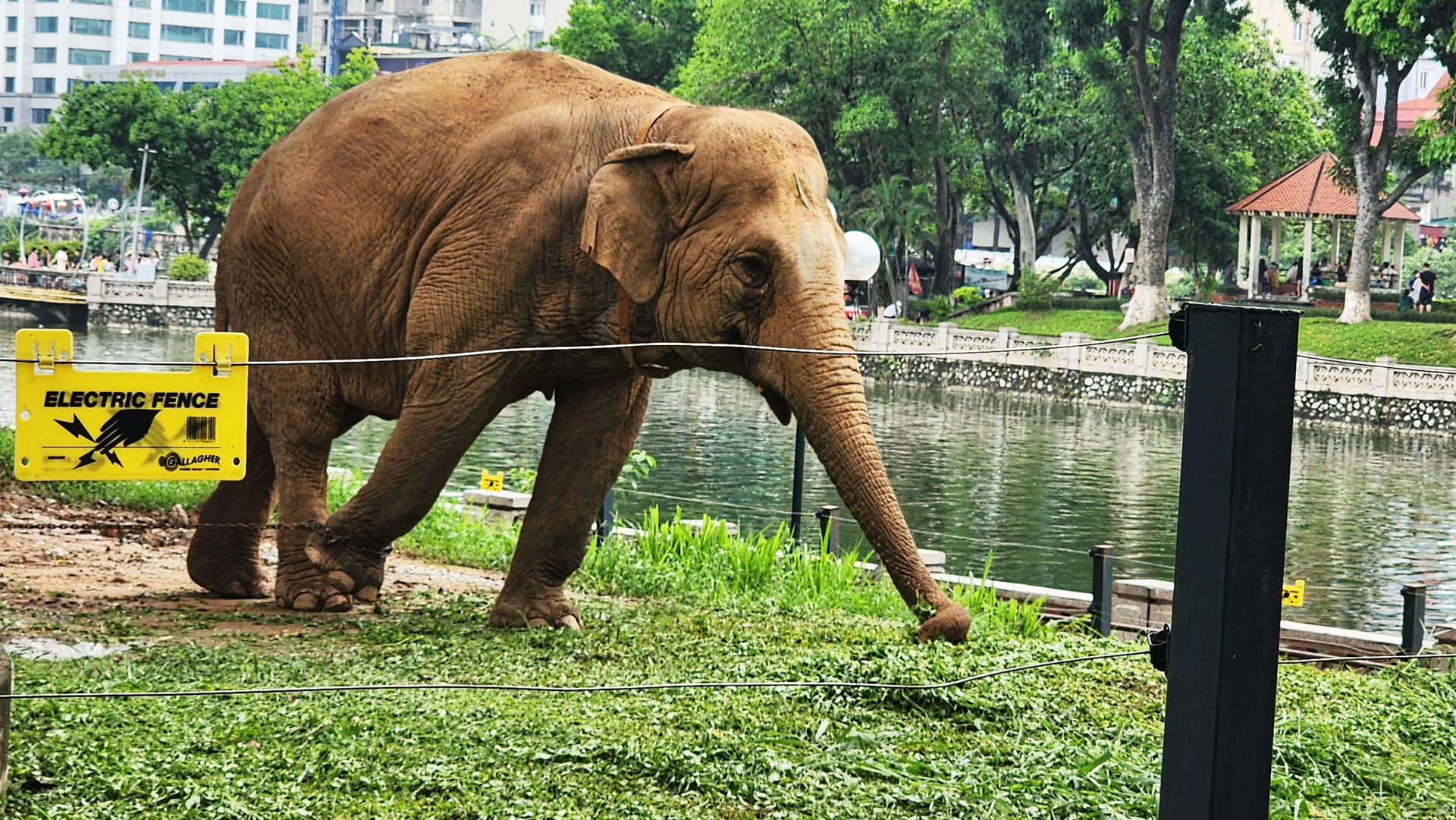 BÀI 3: MỞ RÀO CÔNG VIÊN, MỞ RÀO TƯ DUY - Ảnh 6.