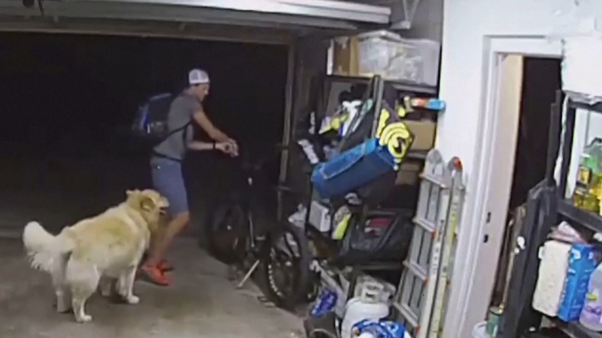 Tên trộm tranh thủ nán lại chơi với chú chó trước khi lấy trộm xe đạp - Ảnh 2.