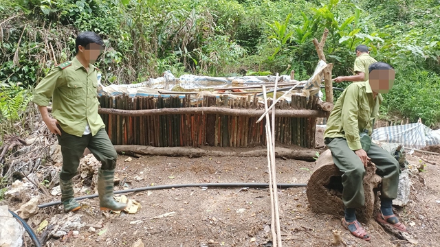 Tiếp tục phát hiện nạn đào vàng trái phép trong rừng đặc dụng Pù Luông
