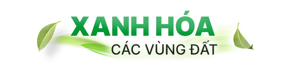 Việt Nam trên ‘hành trình xanh’ - Ảnh 5.