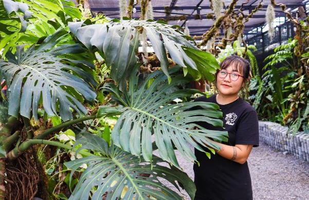 Nghỉ công việc ổn định để rẽ hướng kinh doanh kiểng lá - Ảnh 1. Nghỉ công việc ổn định để rẽ hướng kinh doanh kiểng lá - Ảnh 1.