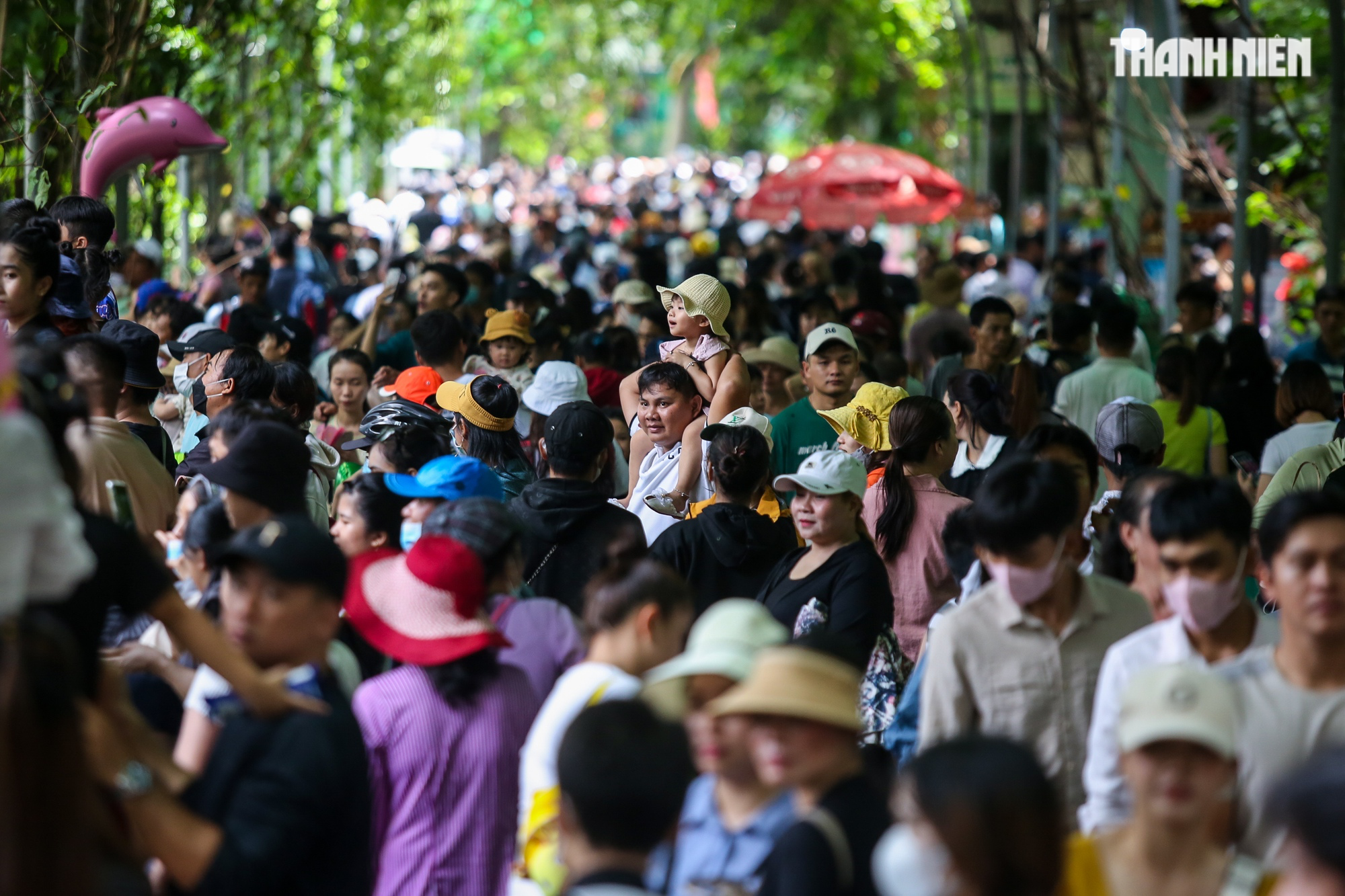 Lễ Quốc Khánh 2.9: Hàng nghìn du khách dầm mưa vui chơi tại Thảo Cầm Viên - Ảnh 3.