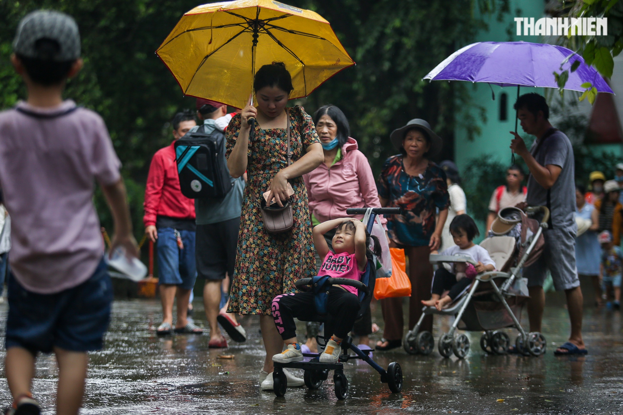 Lễ Quốc Khánh 2.9: Hàng nghìn du khách dầm mưa vui chơi tại Thảo Cầm Viên - Ảnh 5.