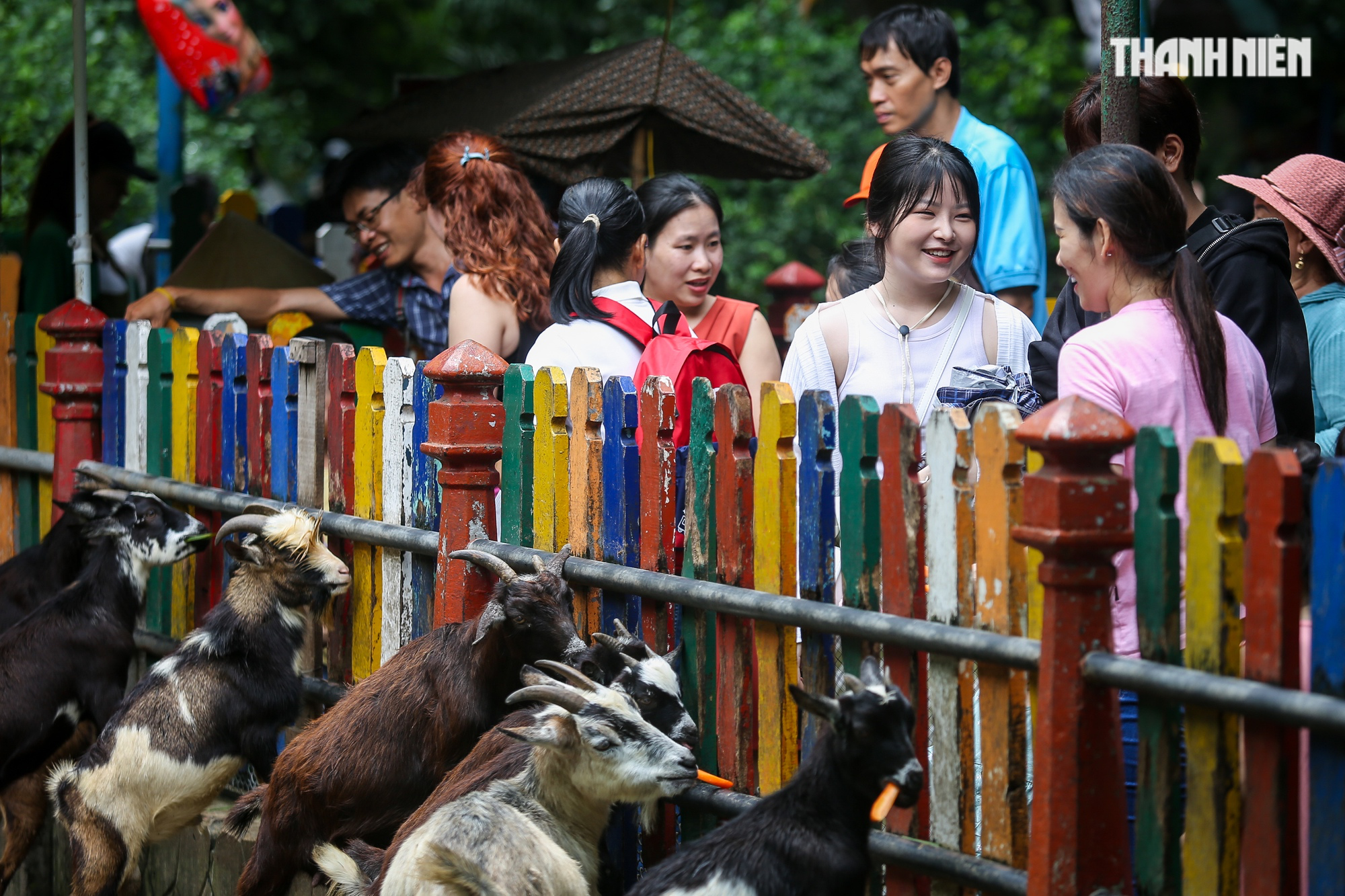 Lễ Quốc Khánh 2.9: Hàng nghìn du khách dầm mưa vui chơi tại Thảo Cầm Viên - Ảnh 10.