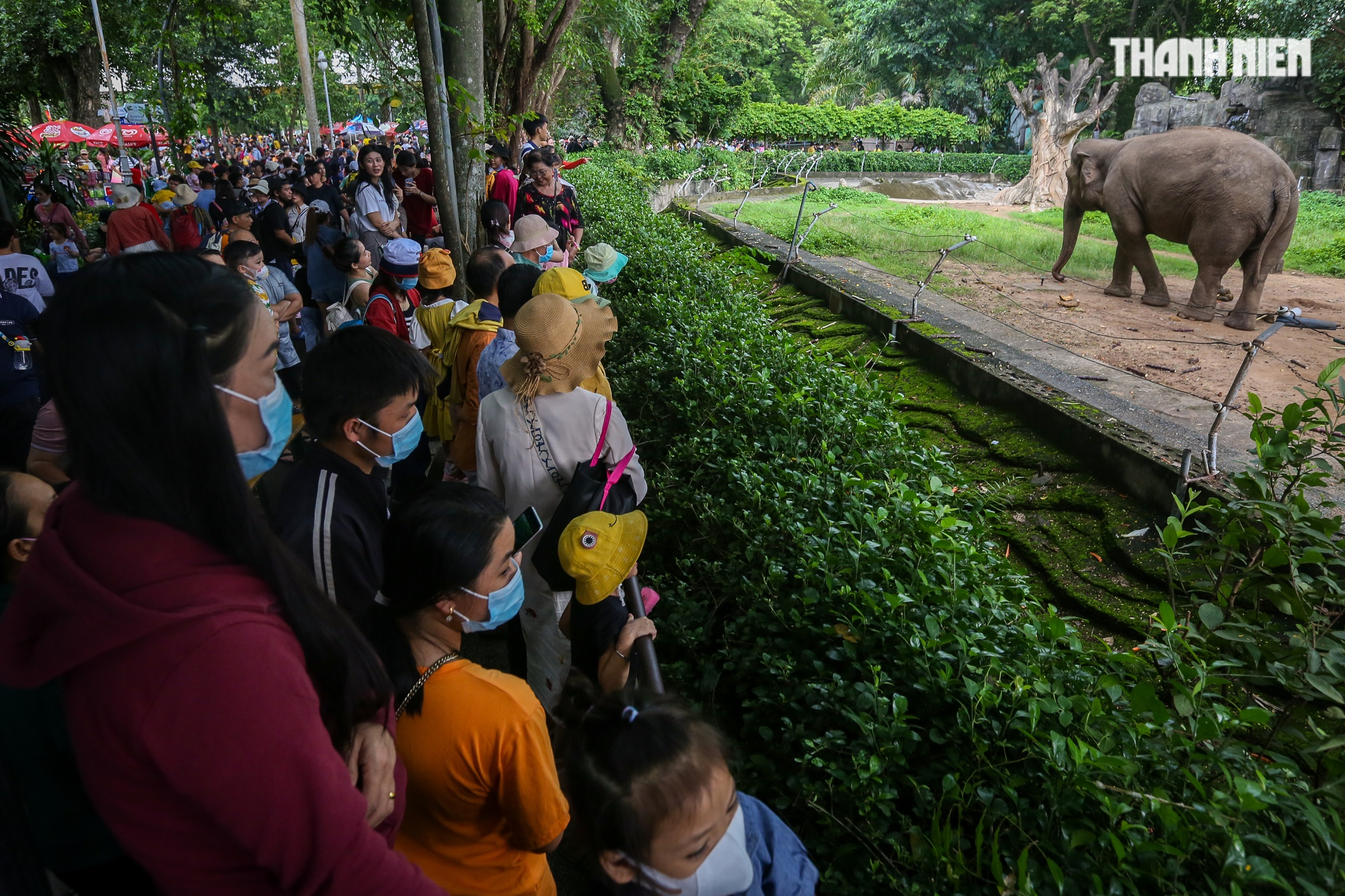 Lễ Quốc Khánh 2.9: Hàng nghìn du khách dầm mưa vui chơi tại Thảo Cầm Viên - Ảnh 11.