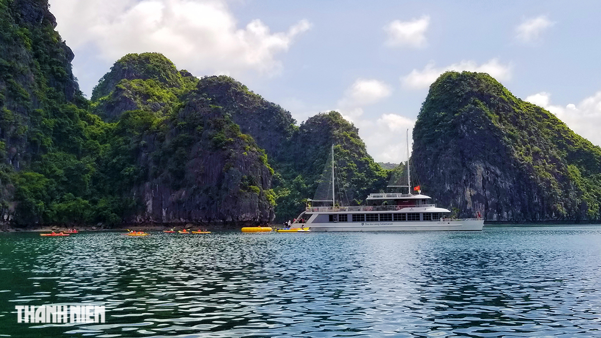 Ngắm vẻ đẹp quần đảo Cát Bà vừa trở thành Di sản thiên nhiên thế giới - Ảnh 6.