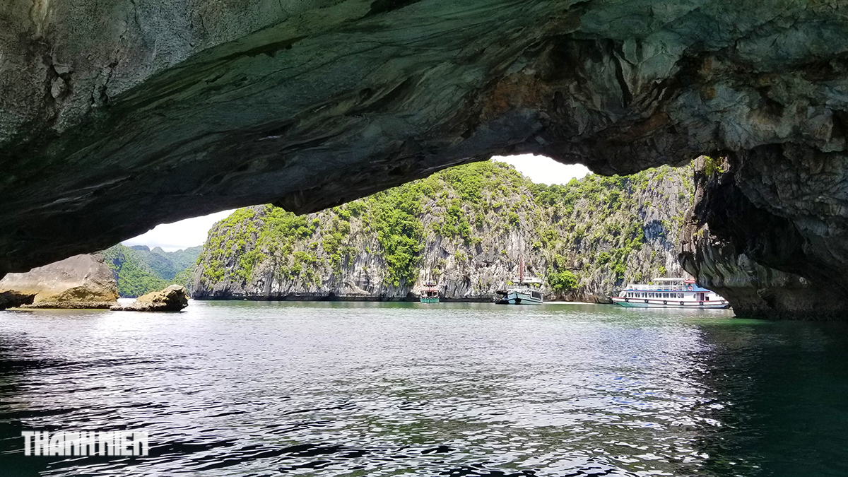 Ngắm vẻ đẹp quần đảo Cát Bà vừa trở thành Di sản thiên nhiên thế giới - Ảnh 12.