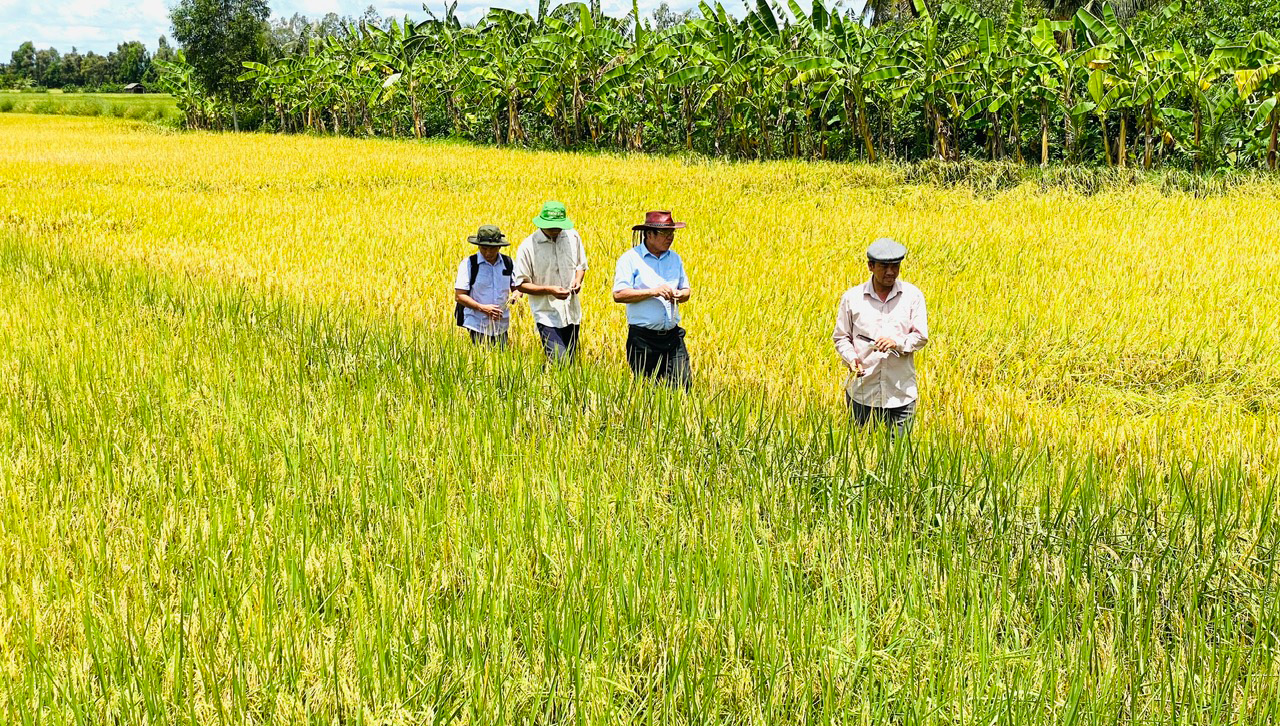 Việt Nam sẽ bán gạo ‘xanh’ và không khí sạch - Ảnh 3.