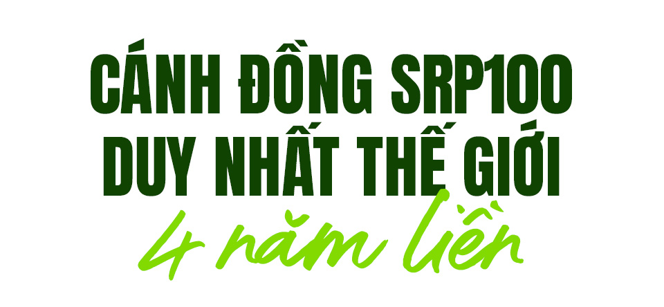 Việt Nam sẽ bán gạo ‘xanh’ và không khí sạch - Ảnh 5.