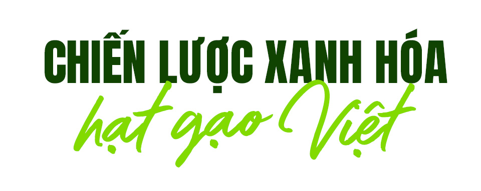 Việt Nam sẽ bán gạo ‘xanh’ và không khí sạch - Ảnh 8.