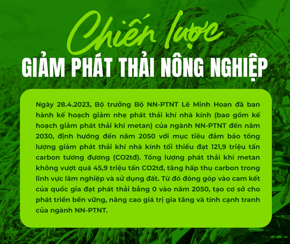 Việt Nam sẽ bán gạo ‘xanh’ và không khí sạch - Ảnh 4.