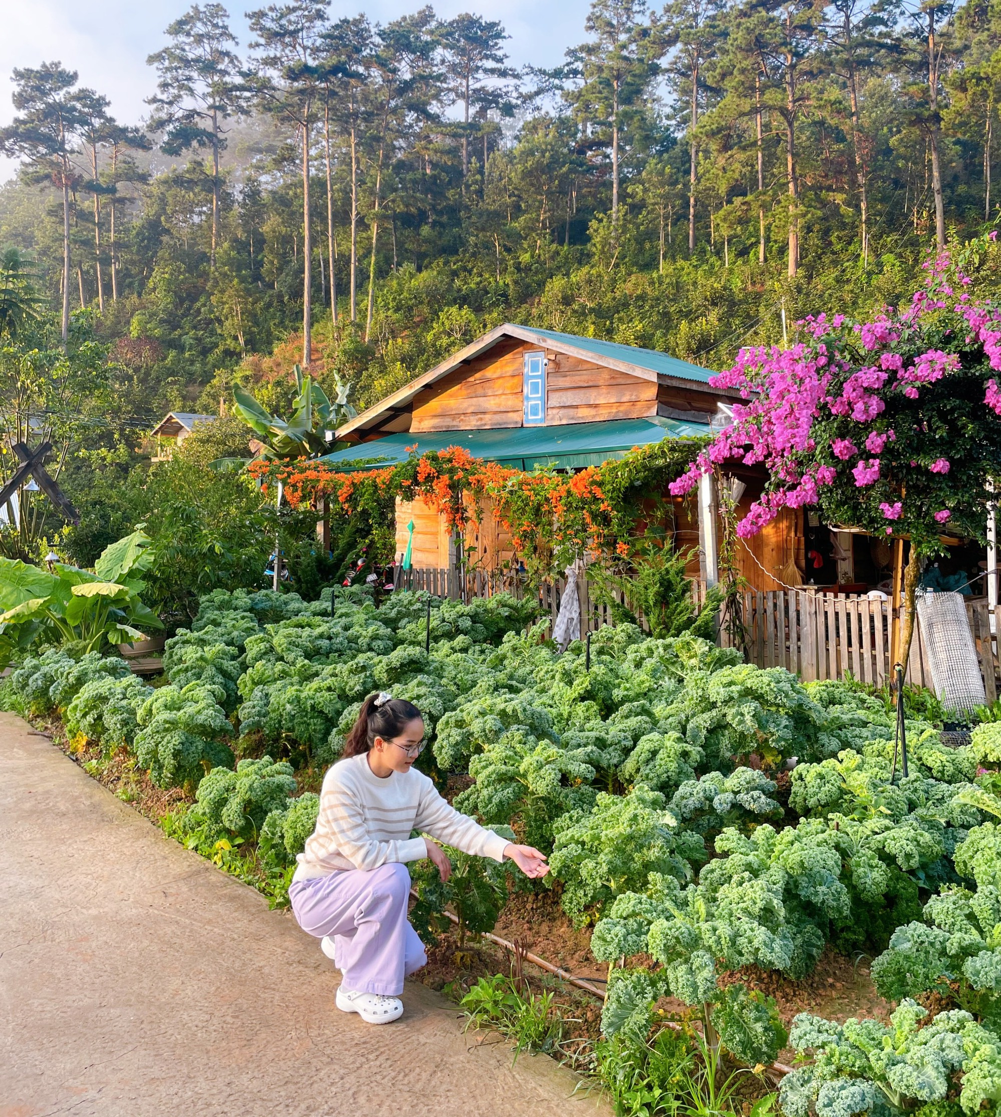 Cô gái từng bị cắt một phần phổi rời TP.HCM lên Đà Lạt làm khu vườn đẹp như mơ- Ảnh 4.