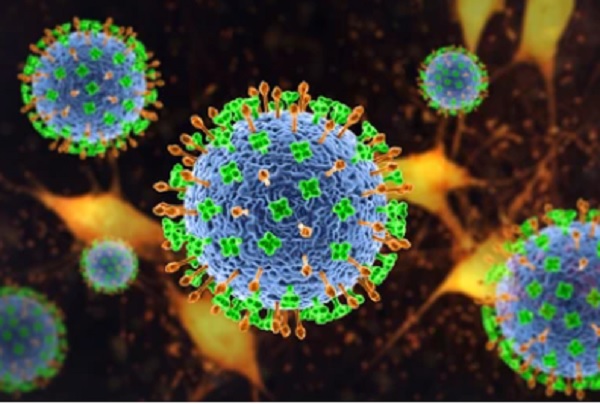 Vi rút Nipah nguy hiểm như thế nào? - Ảnh 1. Vi rút Nipah nguy hiểm như thế nào? - Ảnh 1.