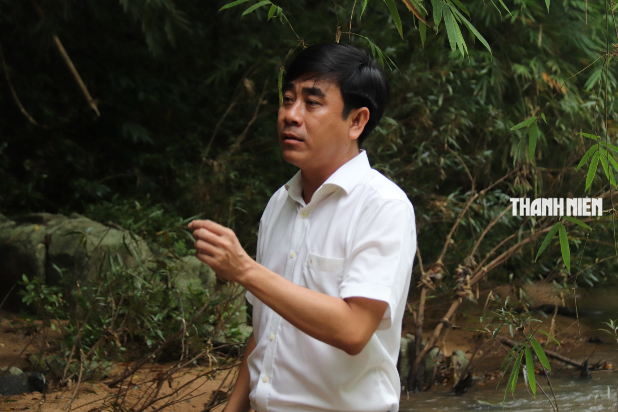 Bình Thuận: Cận cảnh khu rừng khộp nhiều bằng lăng giữa lòng hồ Ka Pét - Ảnh 11.